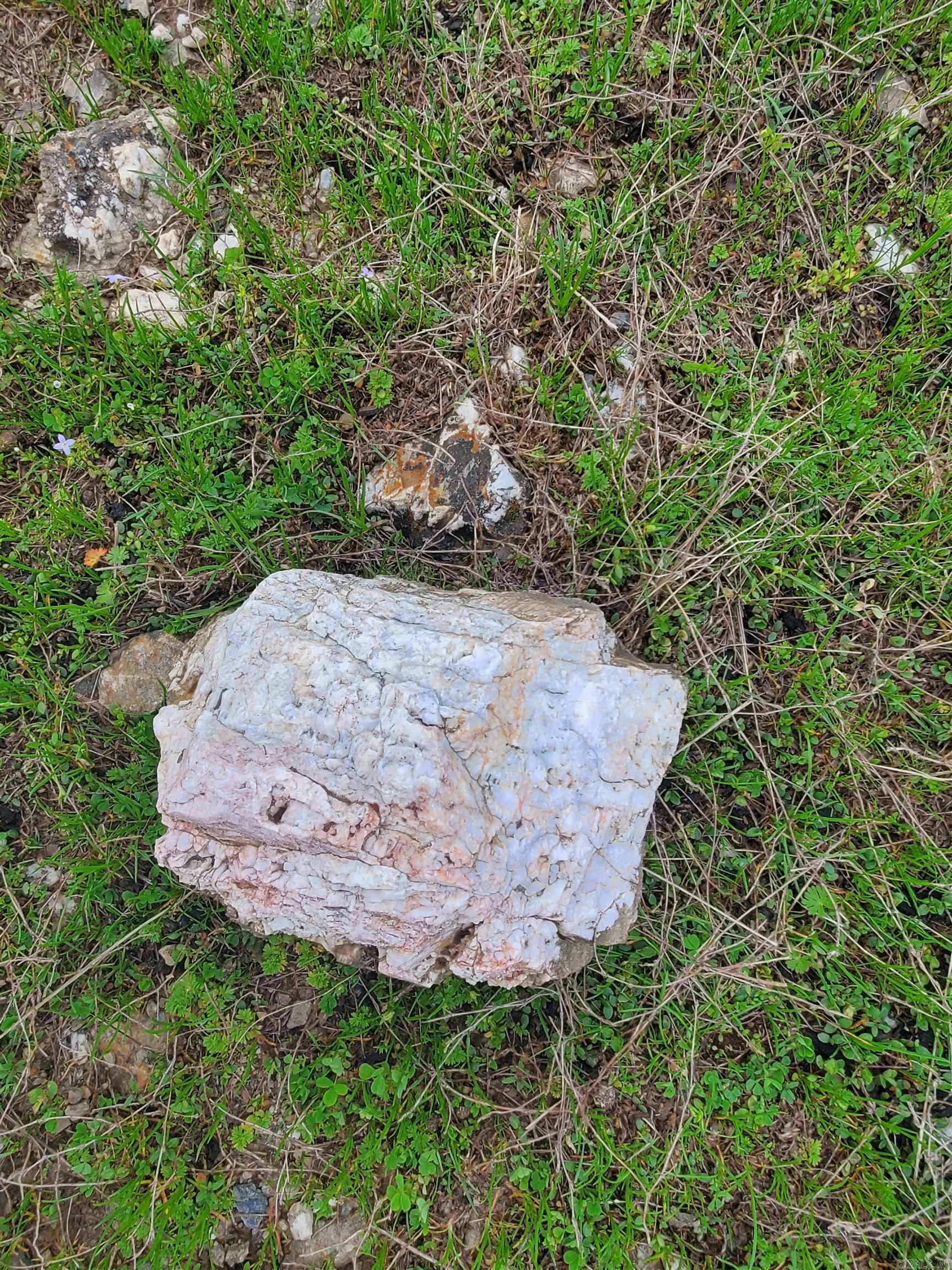 820 Blow Out Mtn.  Pencil Bluff, AR