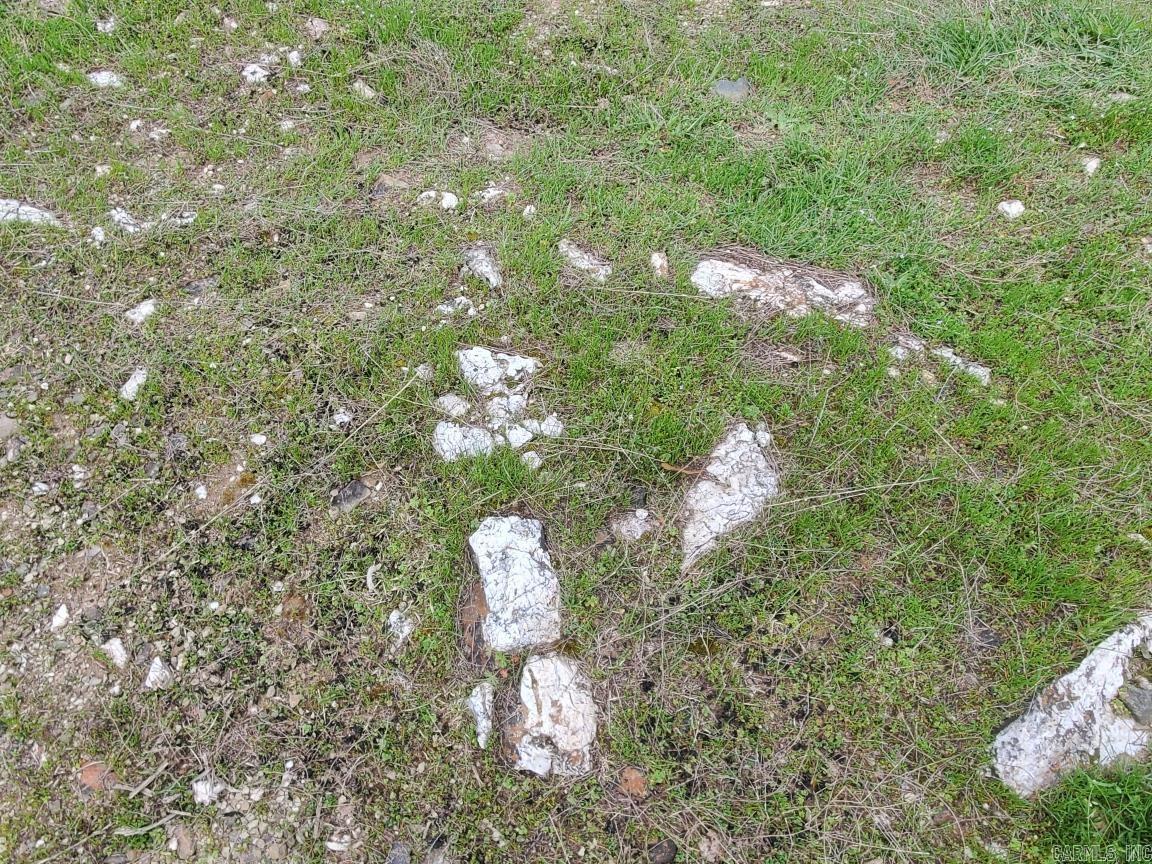 820 Blow Out Mtn.  Pencil Bluff, AR