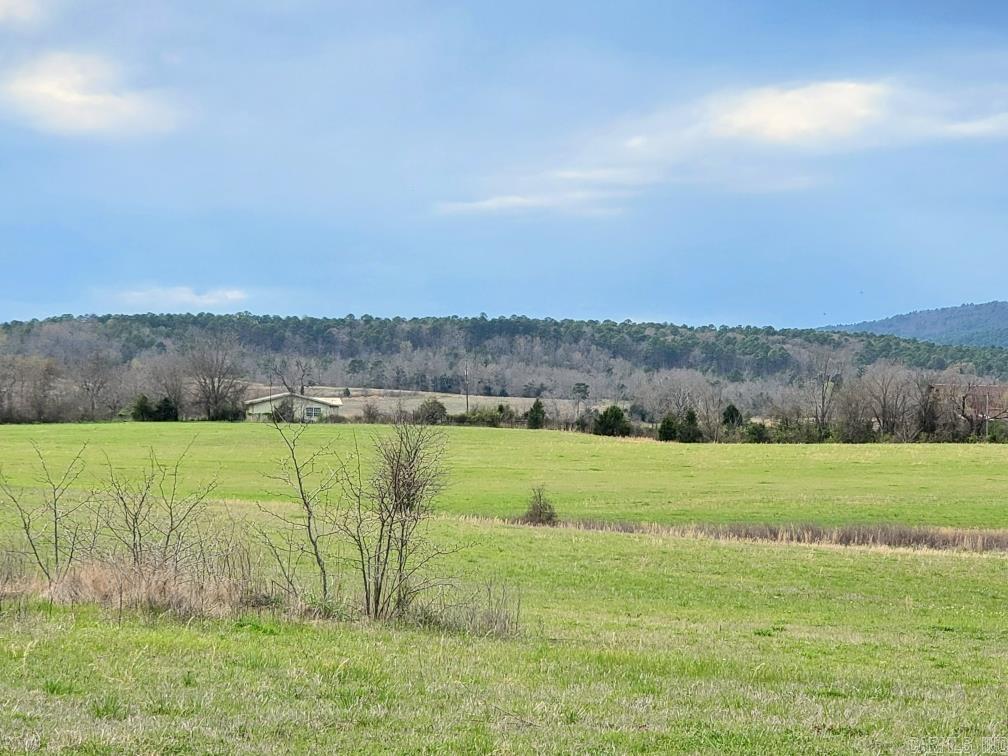 820 Blow Out Mtn.  Pencil Bluff, AR