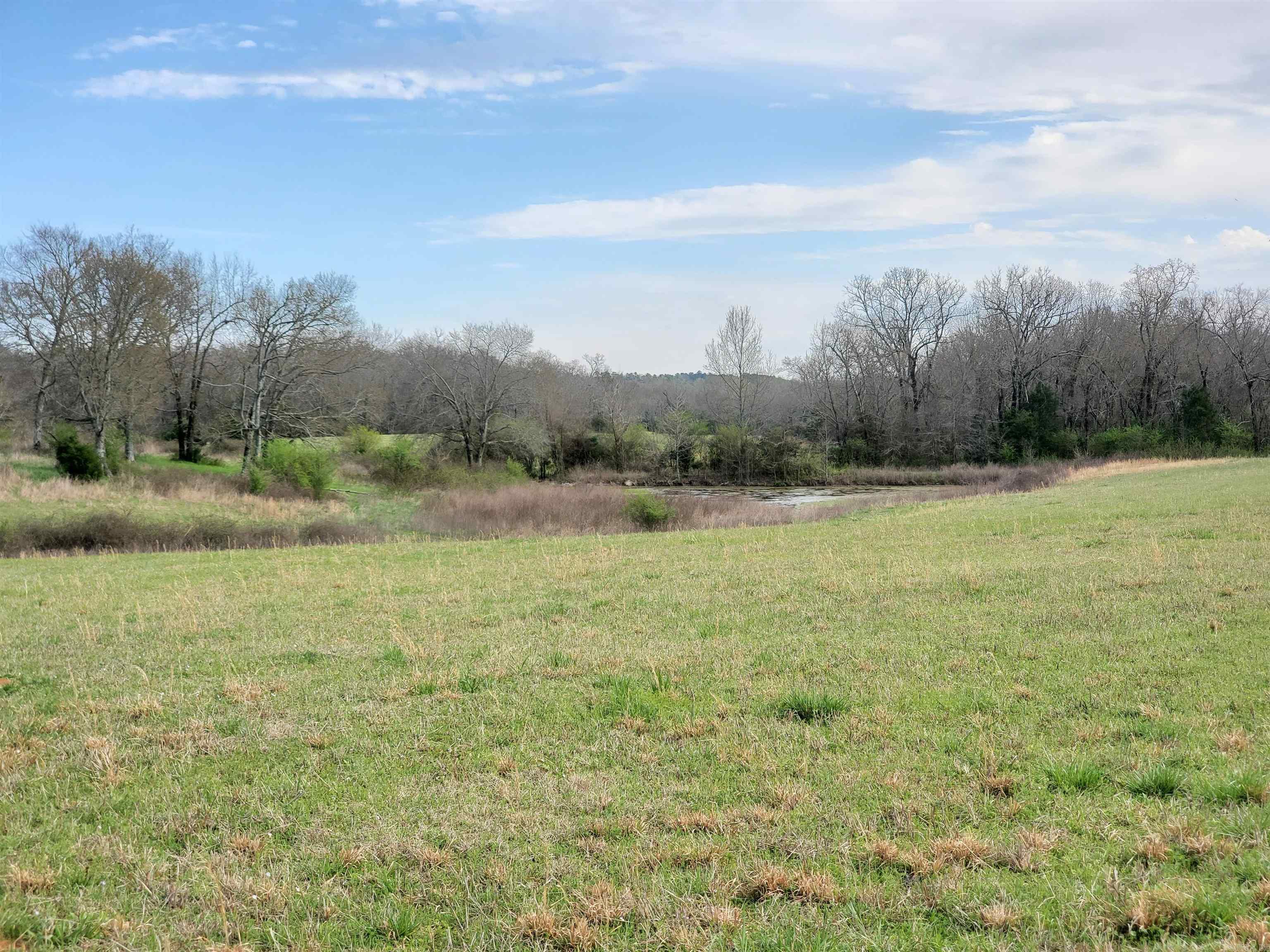 820 Blow Out Mtn.  Pencil Bluff, AR