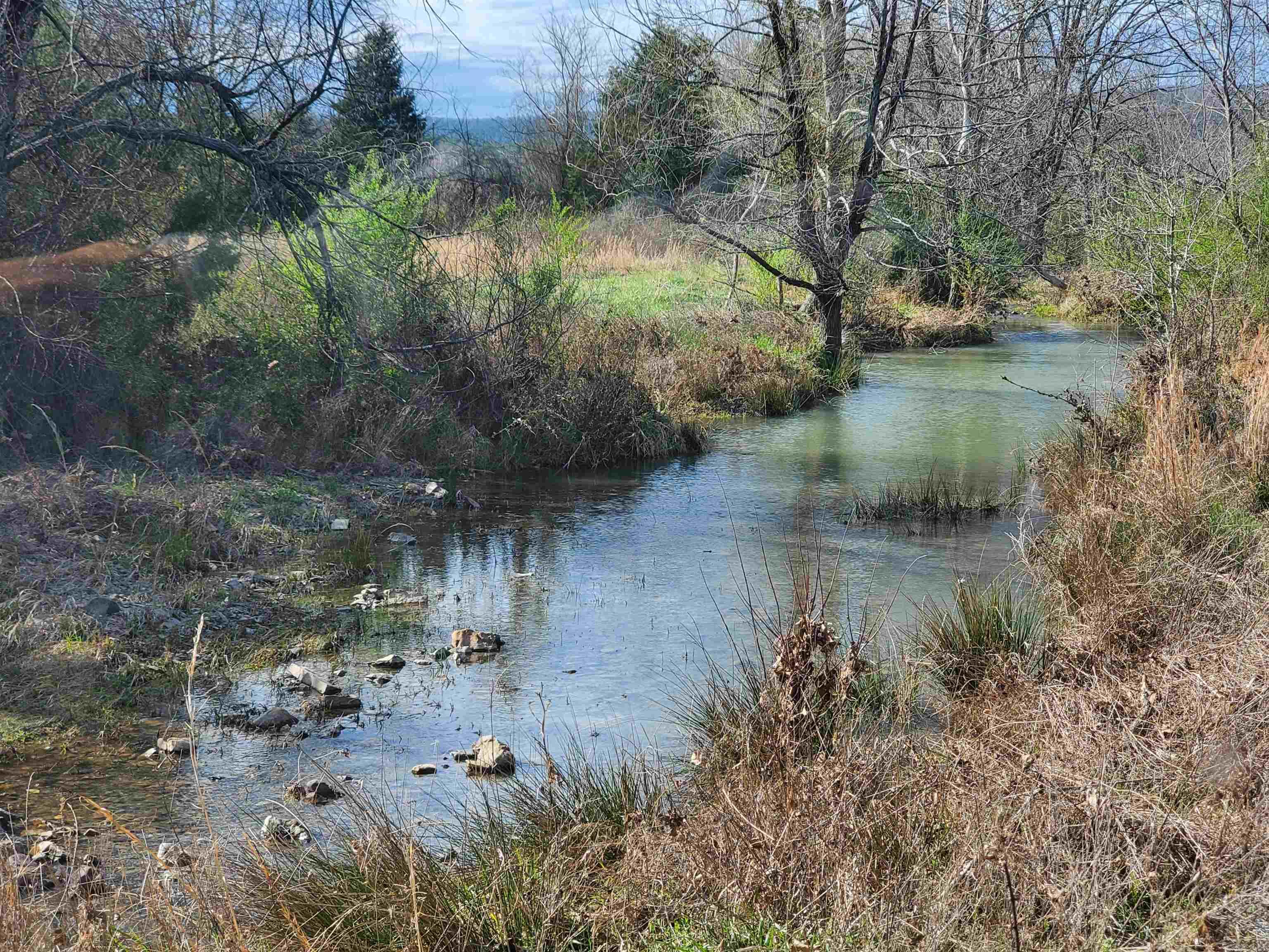 820 Blow Out Mtn.  Pencil Bluff, AR