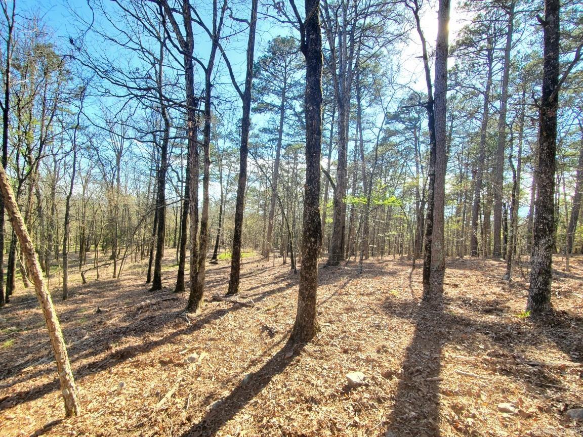 820 Blow Out Mtn.  Pencil Bluff, AR