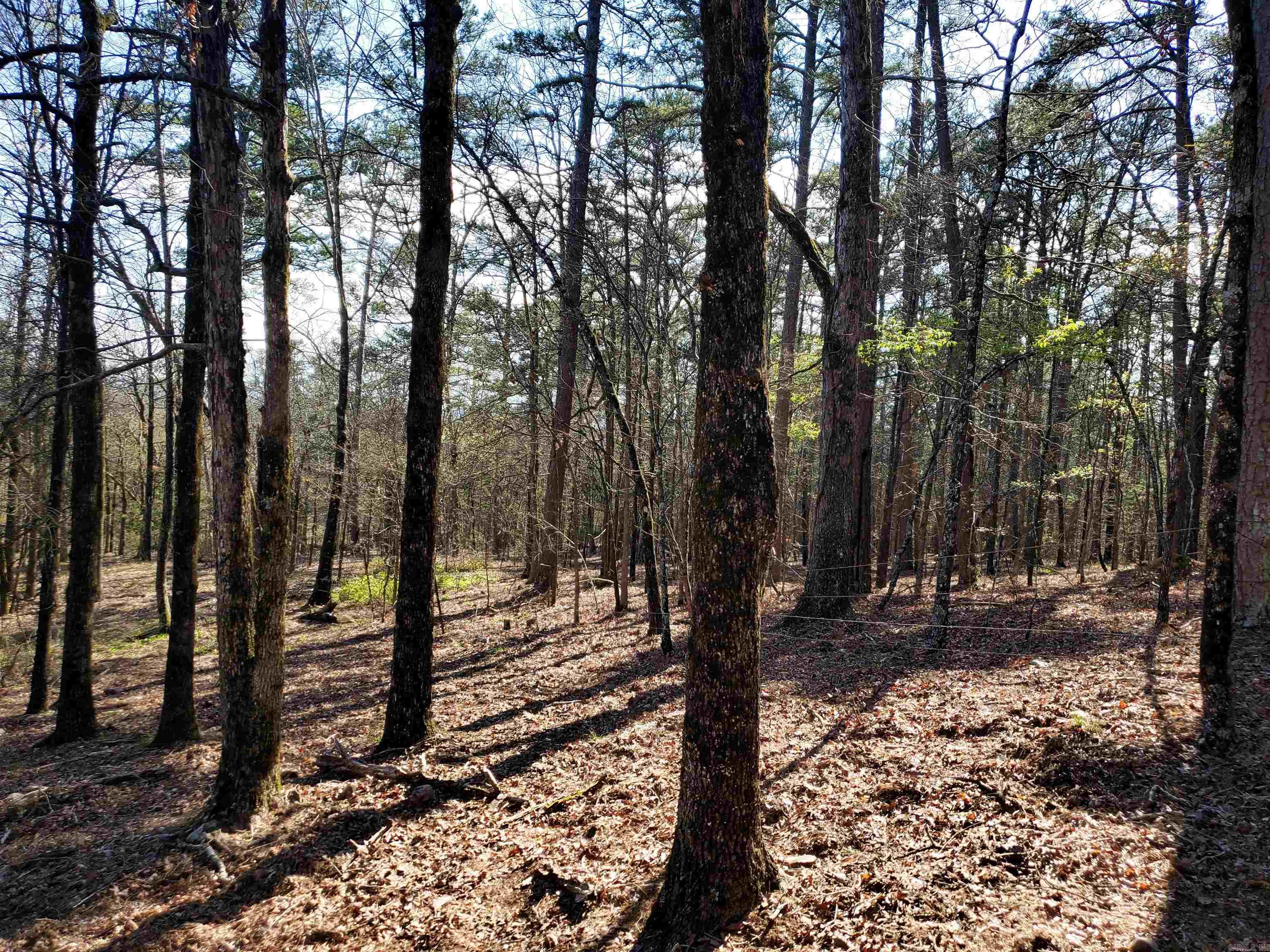 820 Blow Out Mtn.  Pencil Bluff, AR