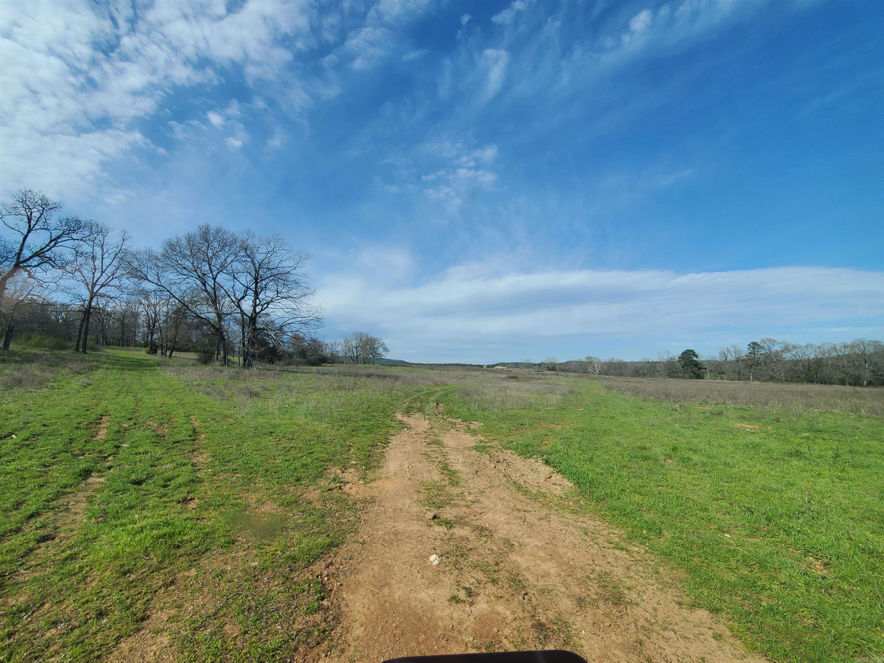 820 Blow Out Mtn.  Pencil Bluff, AR