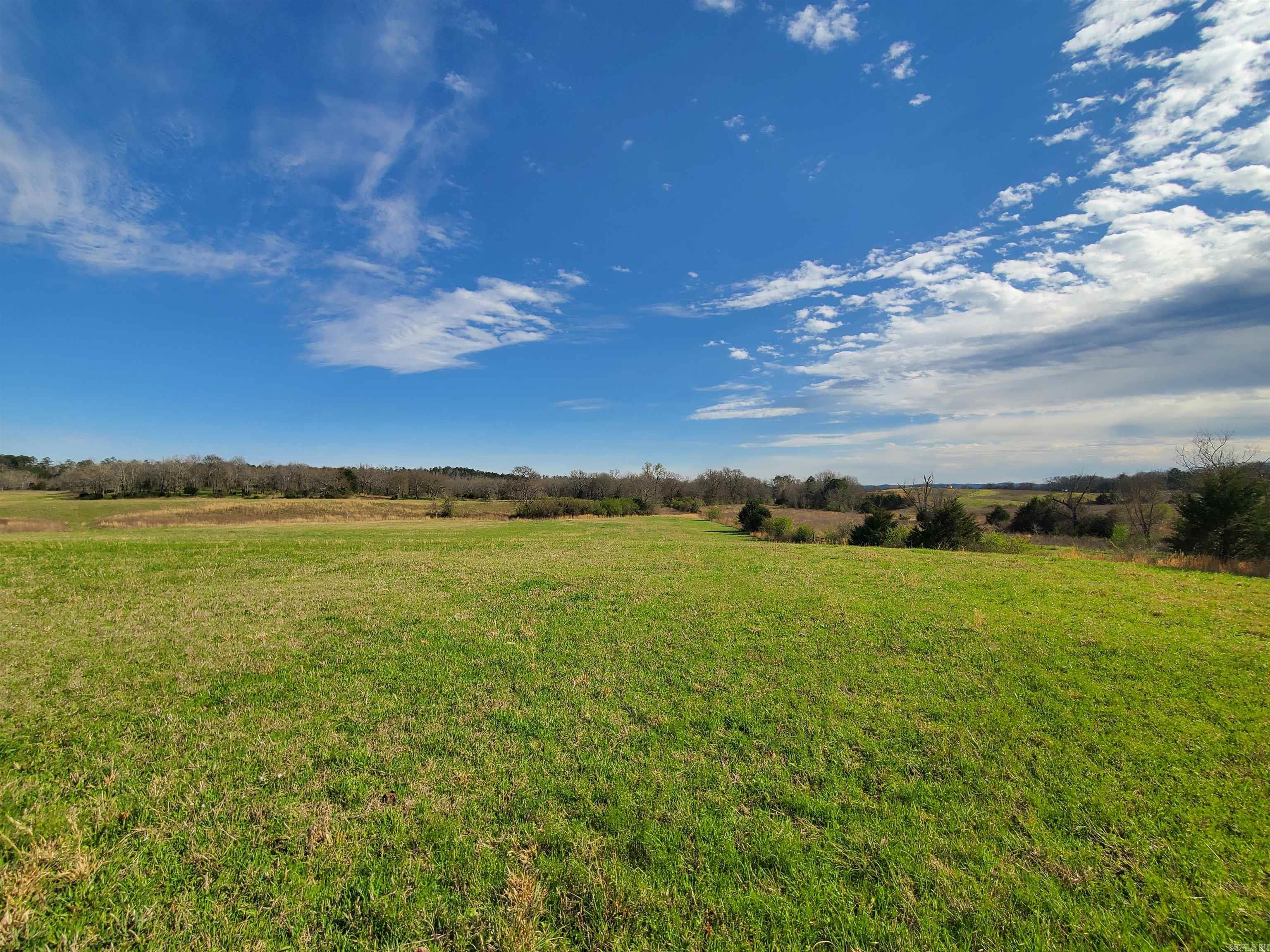 820 Blow Out Mtn.  Pencil Bluff, AR