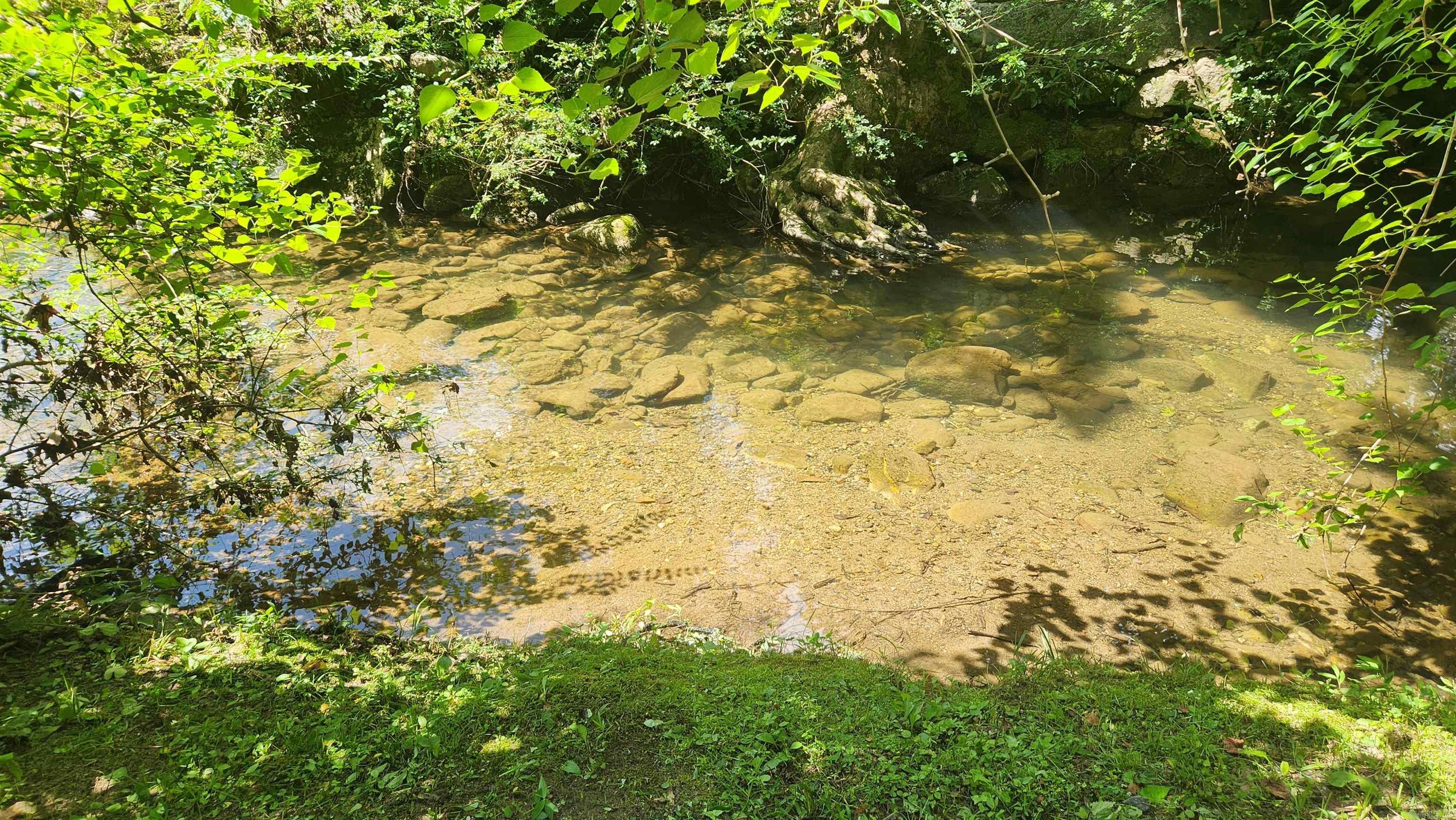 5277 E Hwy 270 Mount Ida, AR 71957