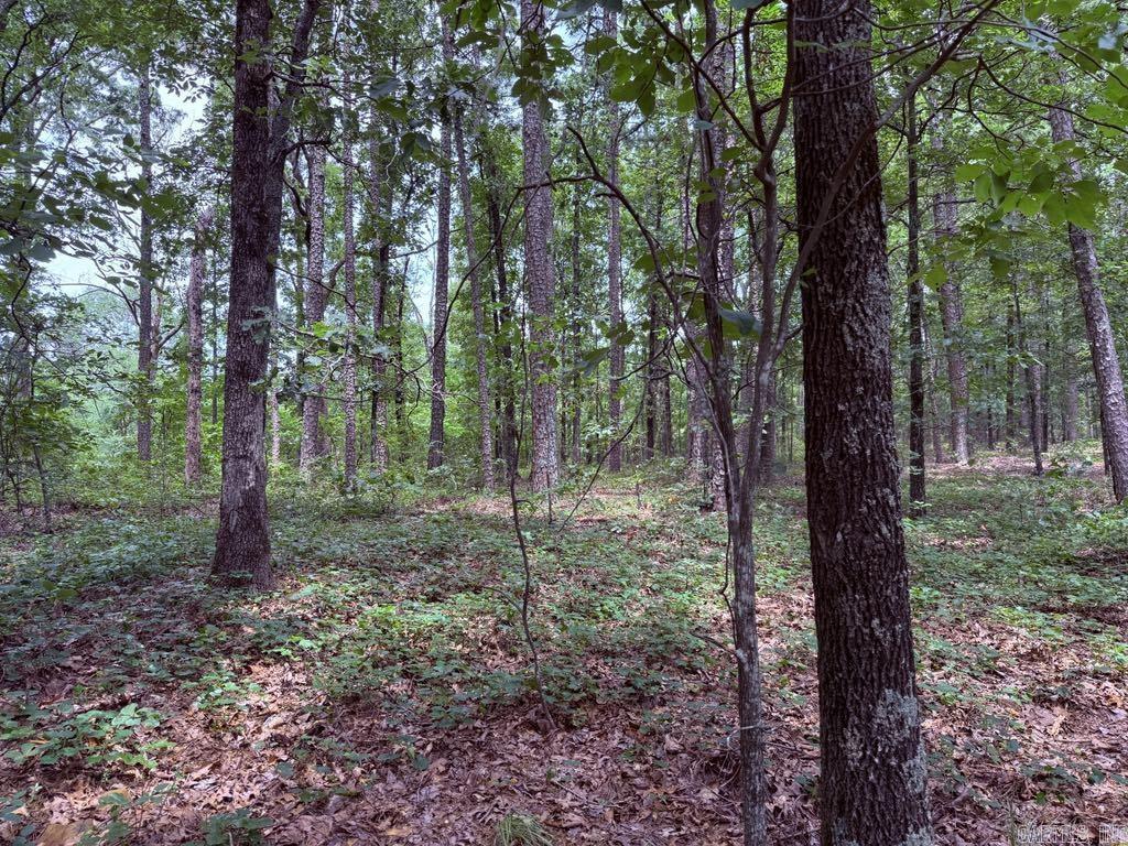 Lot 15 Heather Ridge  Bigelow, AR