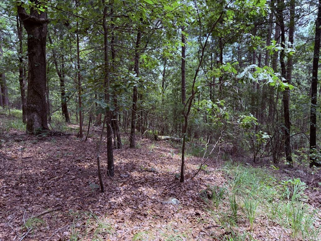 Lot 15 Heather Ridge  Bigelow, AR