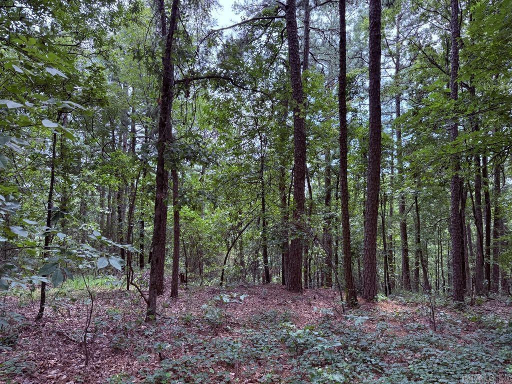 Lot 15 Heather Ridge  Bigelow, AR