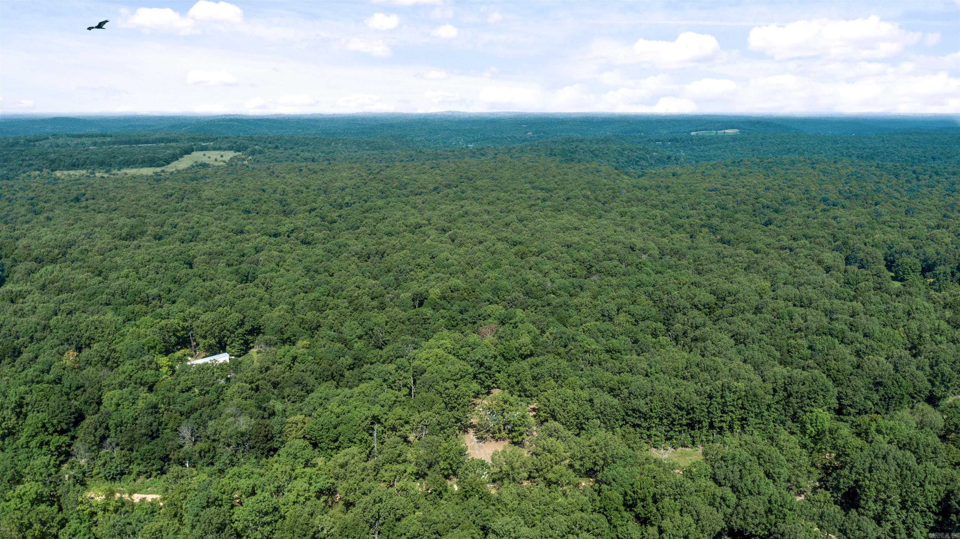 696 Browns Creek Road Ravenden, AR 72459