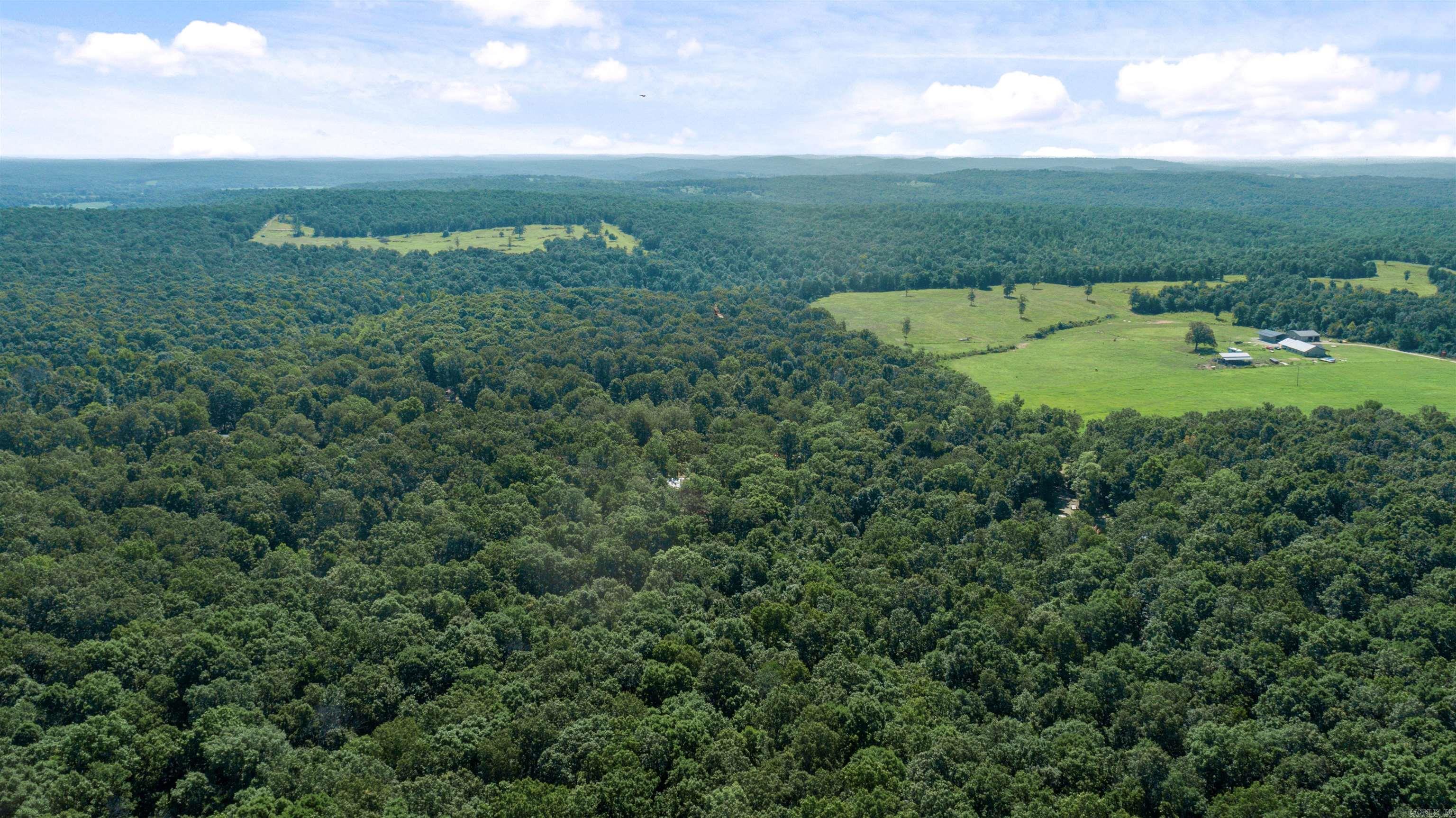 696 Browns Creek Road Ravenden, AR 72459