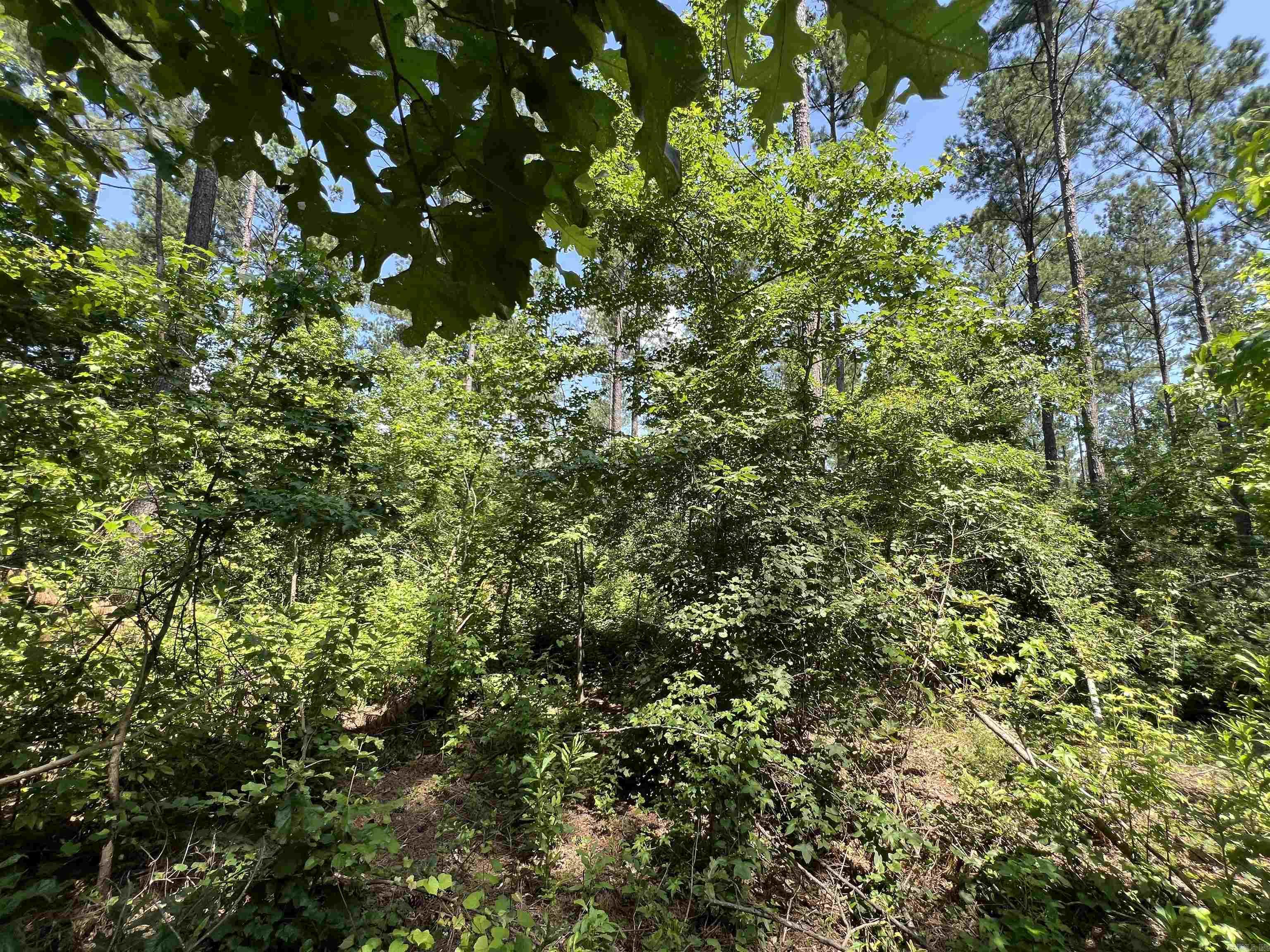 000 Sammie Smith Rd  Searcy, AR