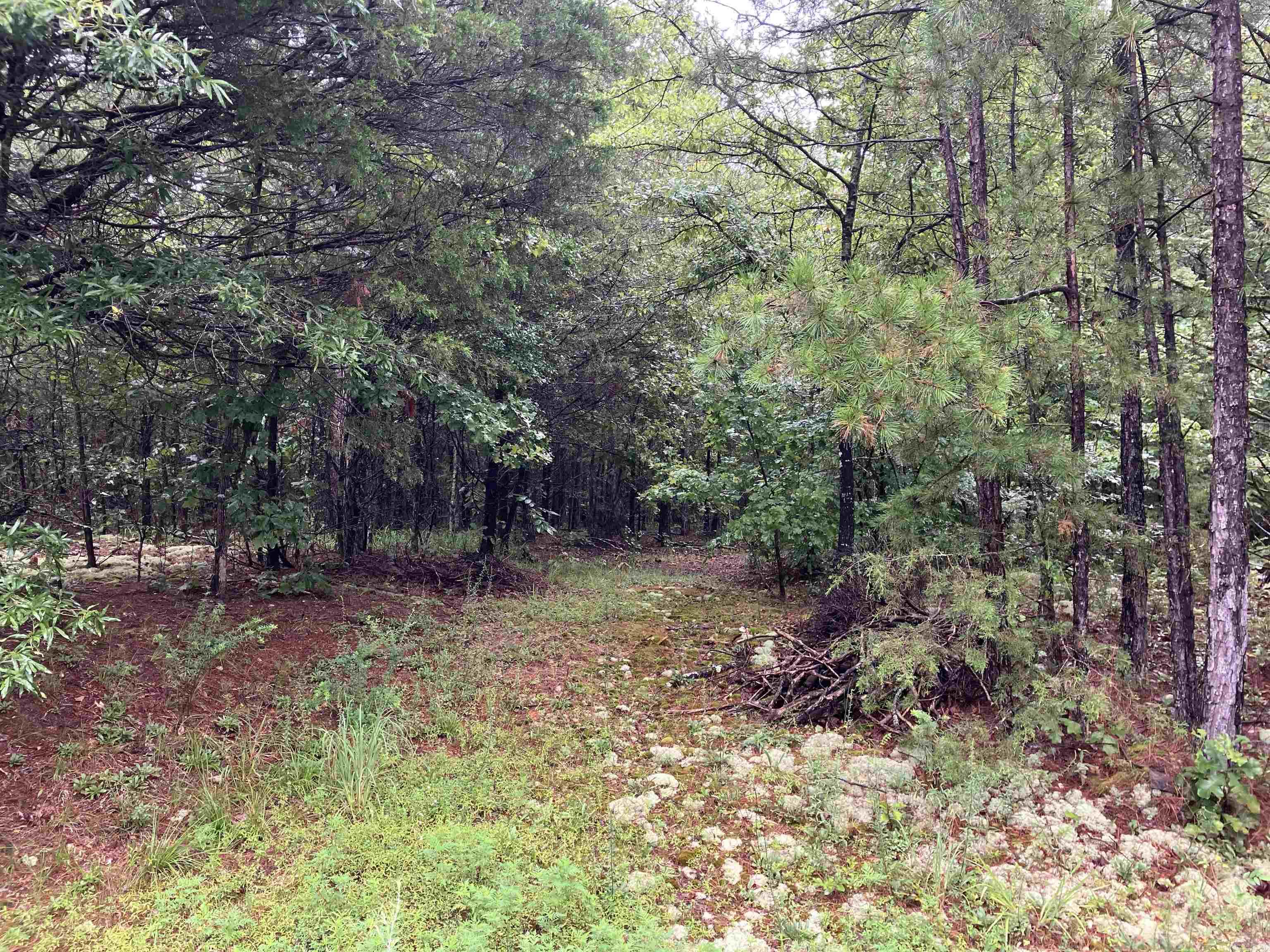 TBD Riverfront Dr  Pencil Bluff, AR