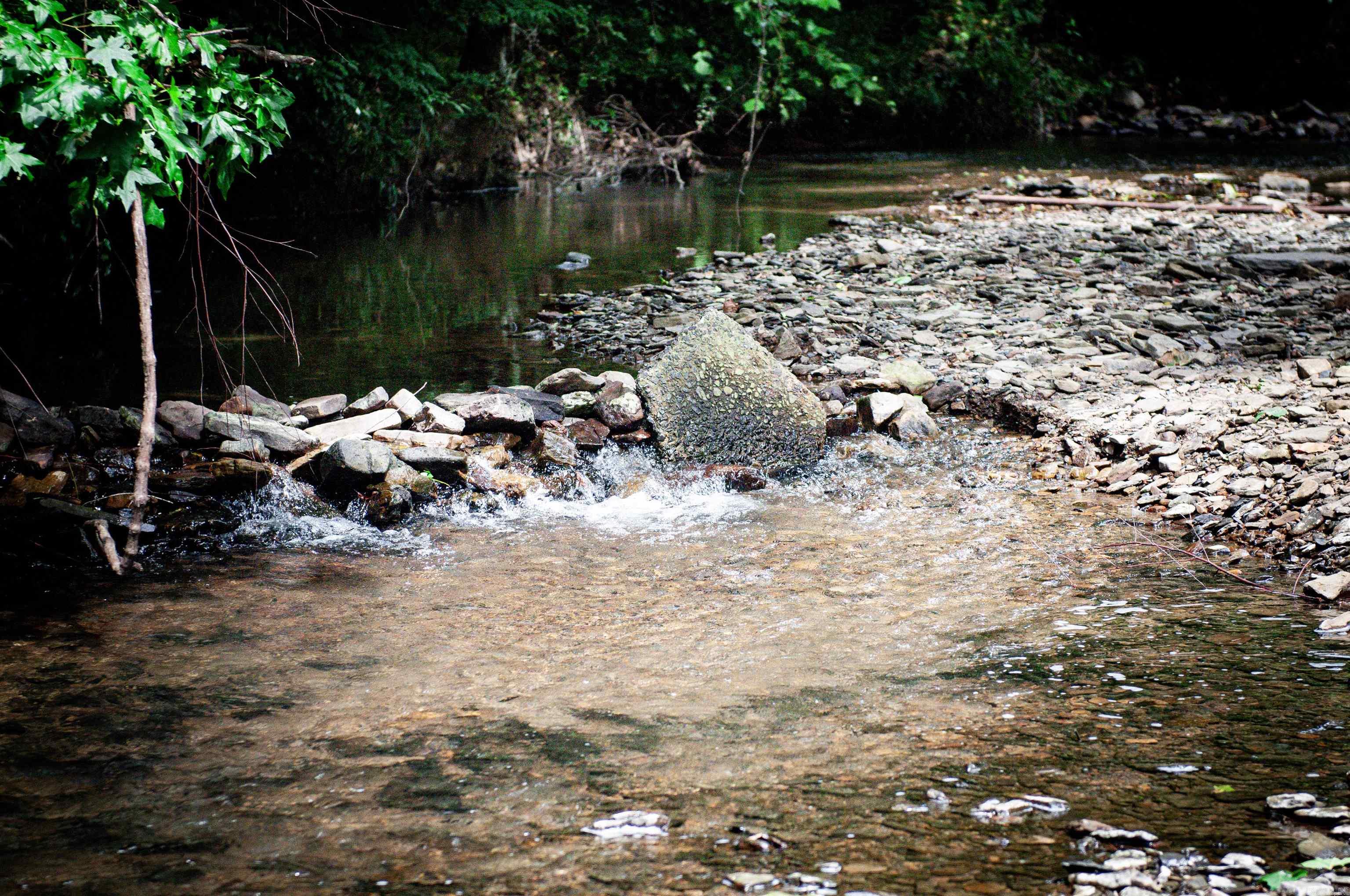 104 Cove Chapel Road Springfield, AR 72157