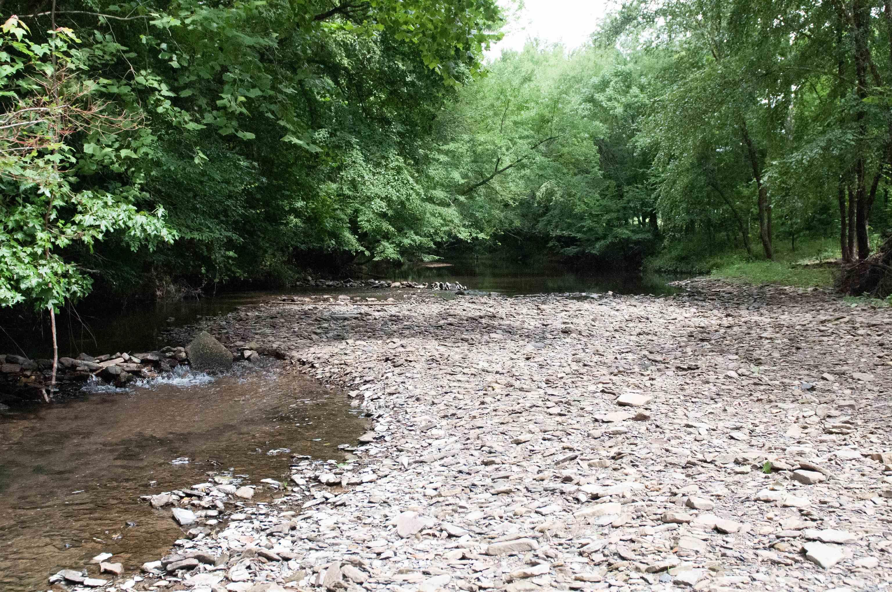 104 Cove Chapel Road Springfield, AR 72157