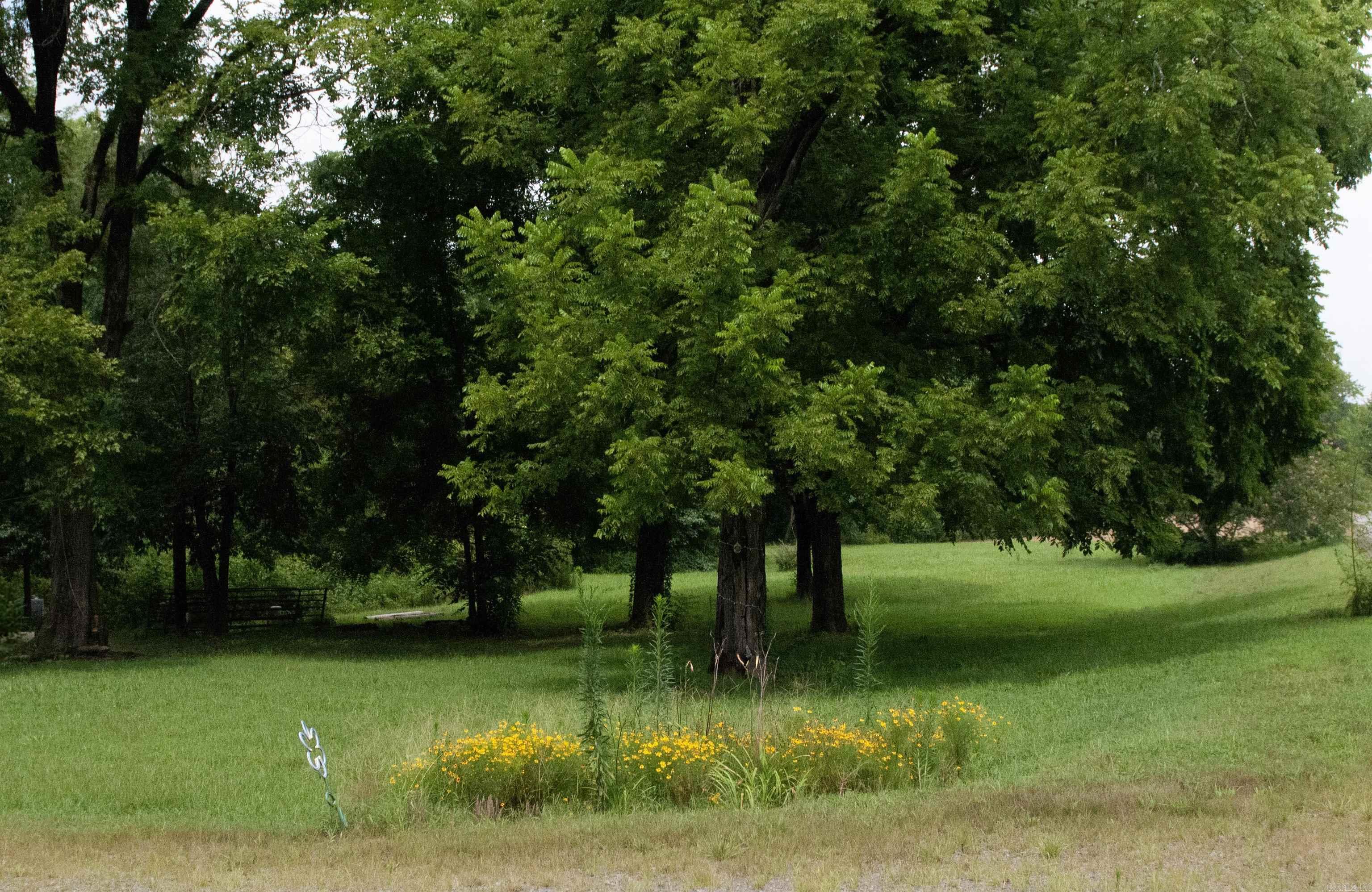 104 Cove Chapel Road Springfield, AR 72157