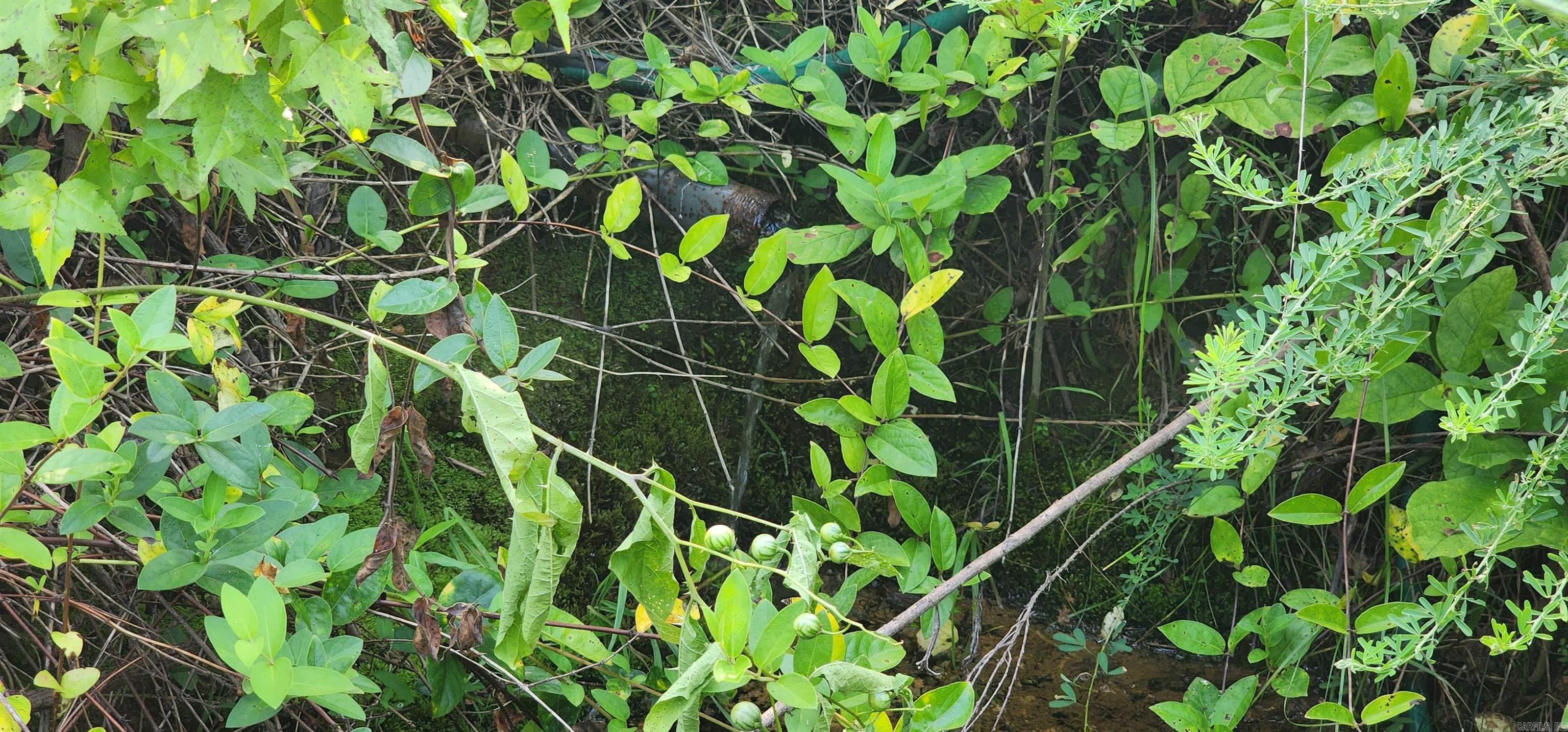 5744 W SR 164  Dover, AR