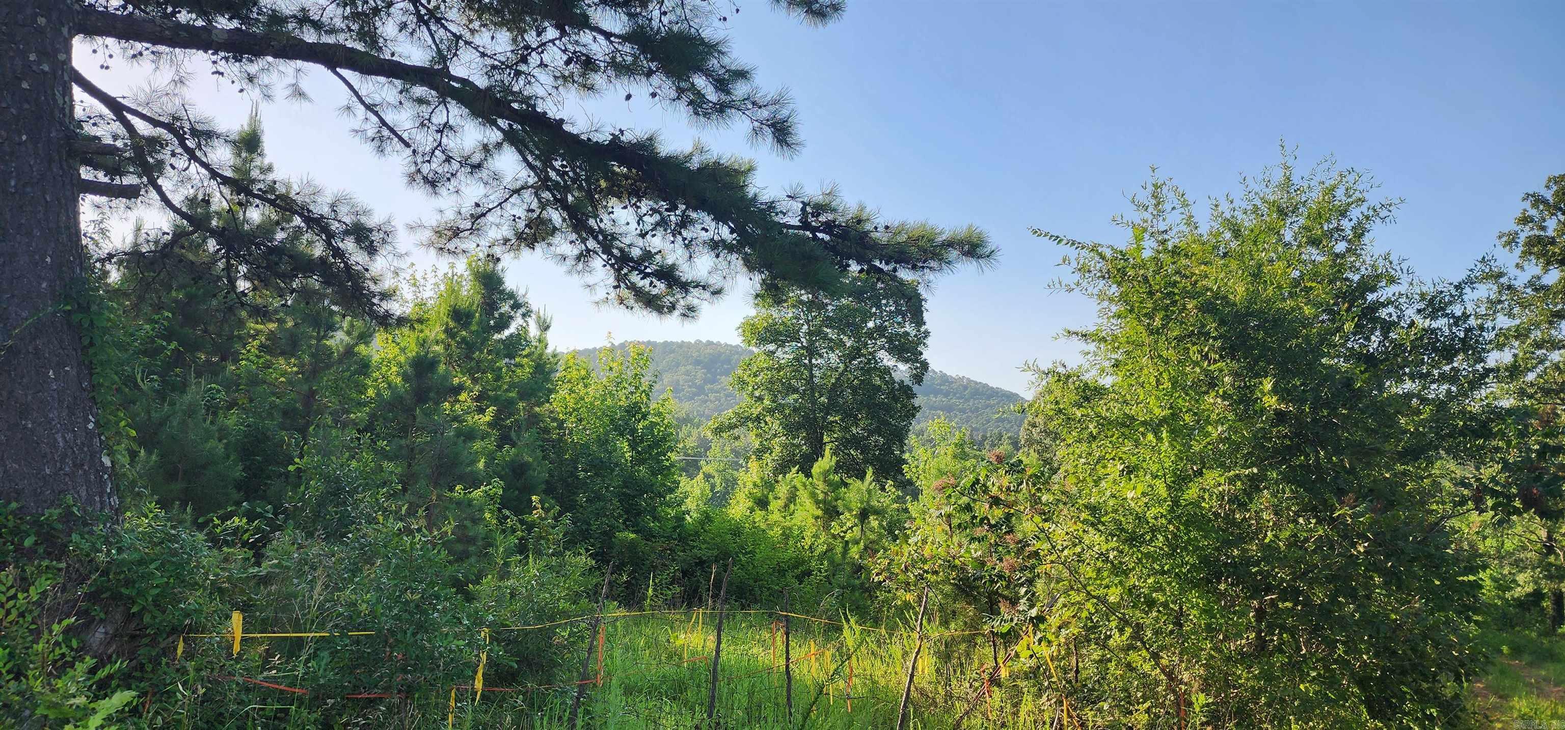 5744 W SR 164  Dover, AR