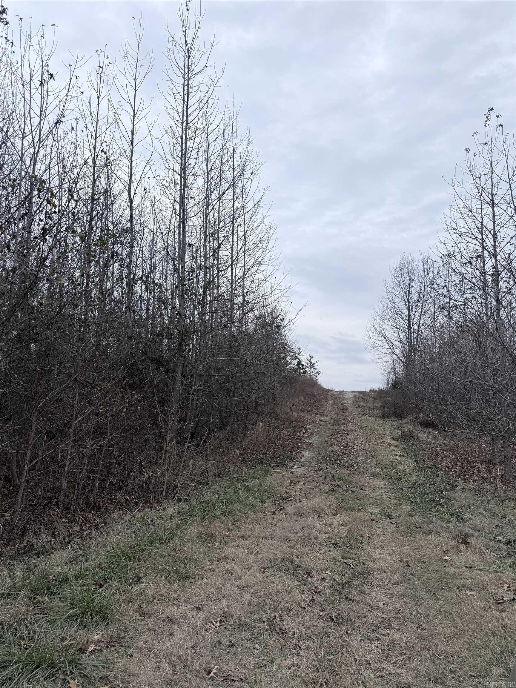 33 acres M/L Greene 710  Paragould, AR