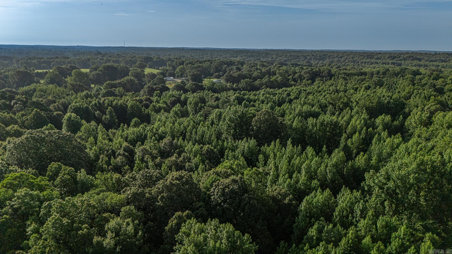 33 acres M/L Greene 710  Paragould, AR