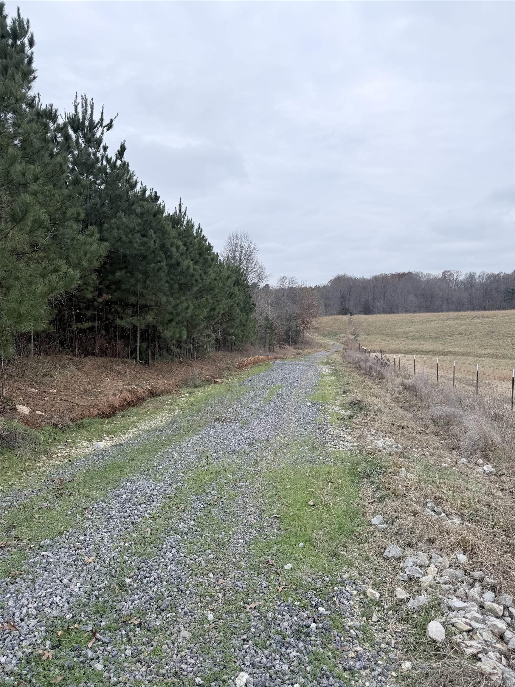 33 acres M/L Greene 710  Paragould, AR