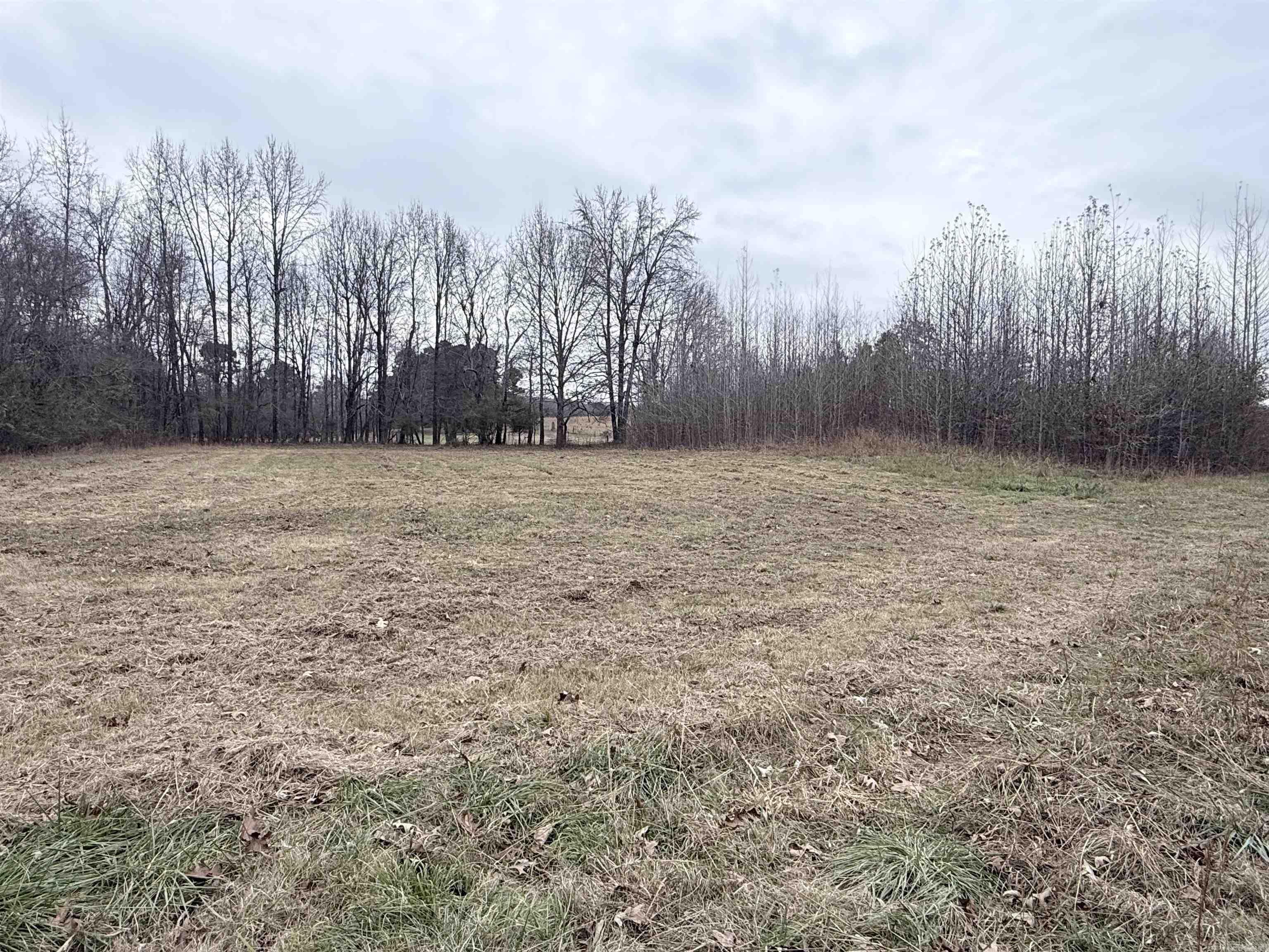 33 acres M/L Greene 710  Paragould, AR