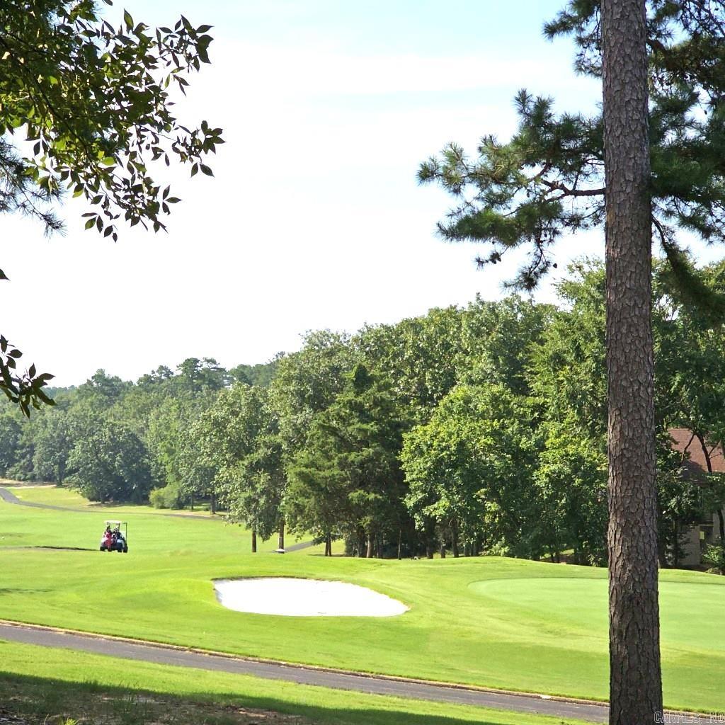 48 Jubileo Way Hot Springs Village, AR 71909