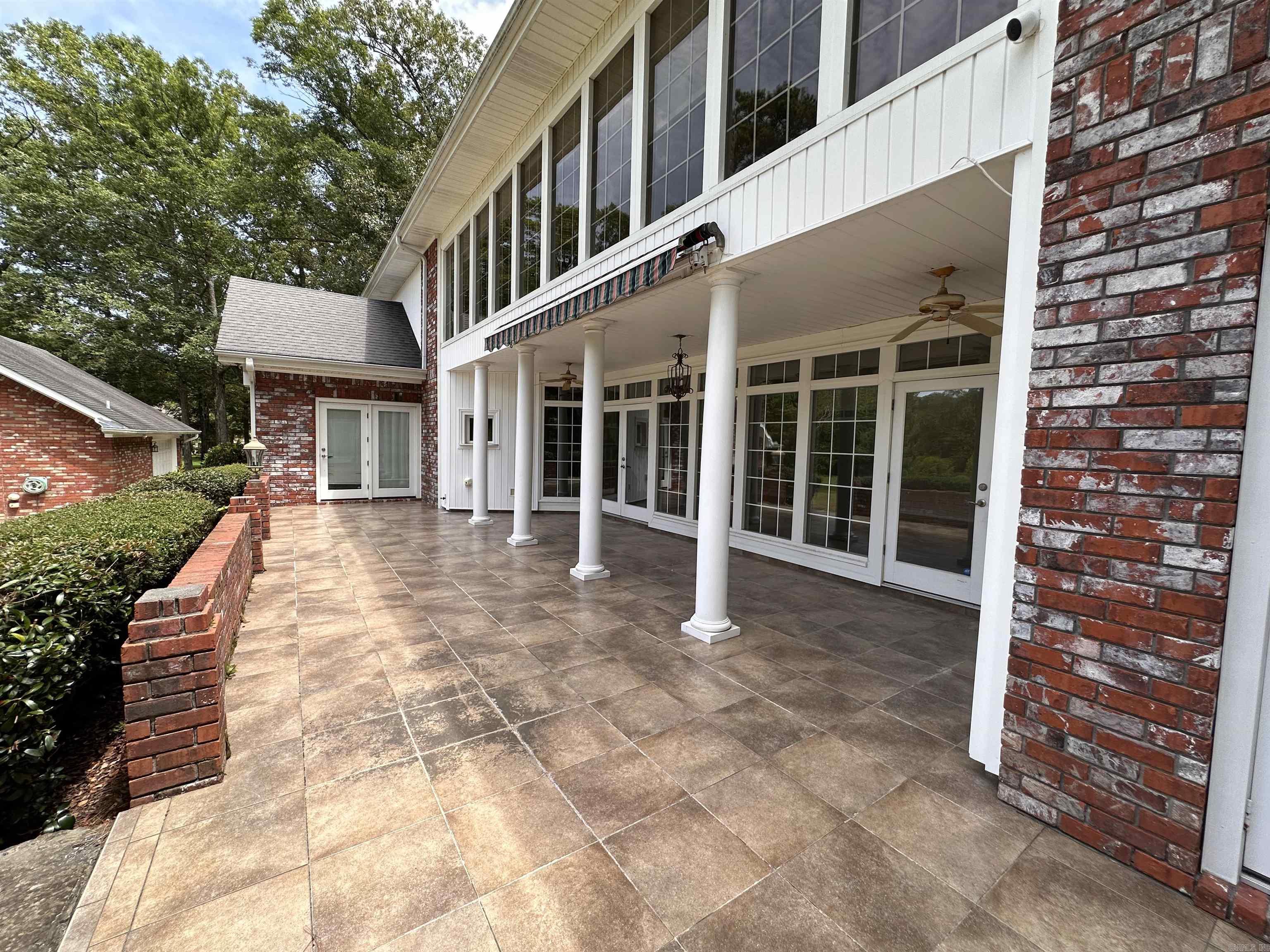 9 Chinquepin  Magnolia, AR