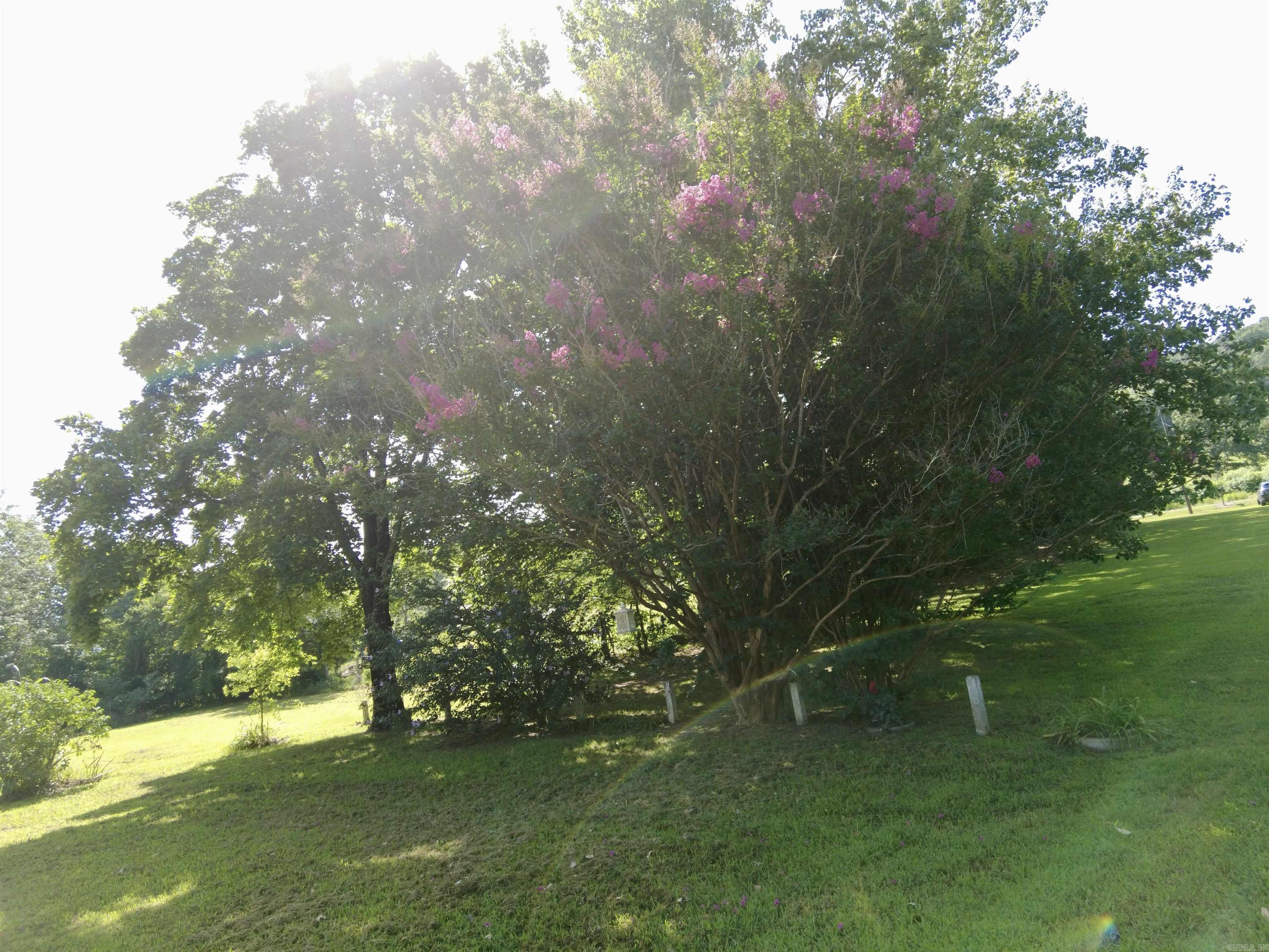 1868 Hwy 66  Alco, AR