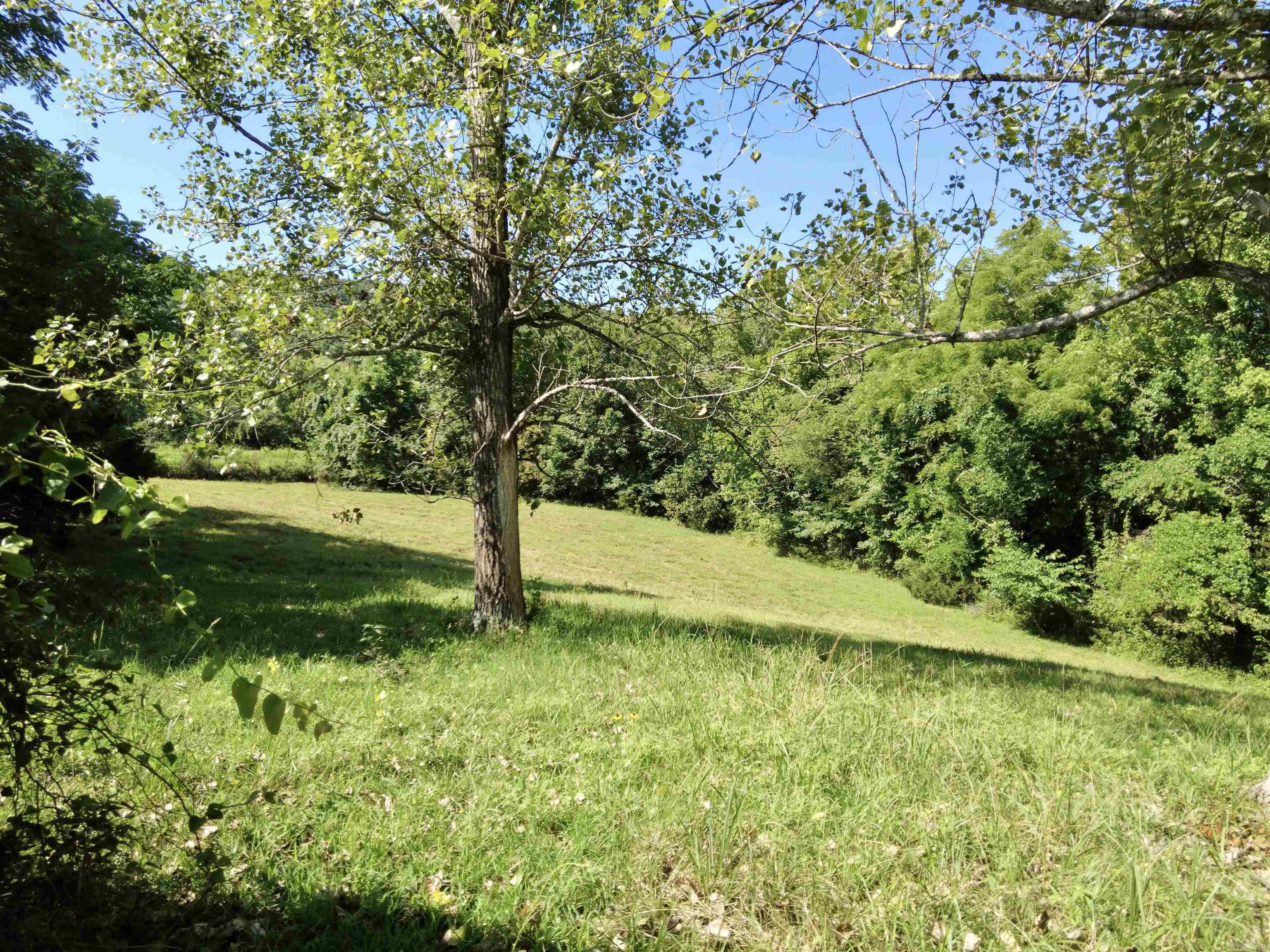 1868 Hwy 66  Alco, AR