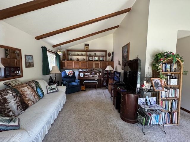 1609 Friendly Point  Horseshoe Bend, AR