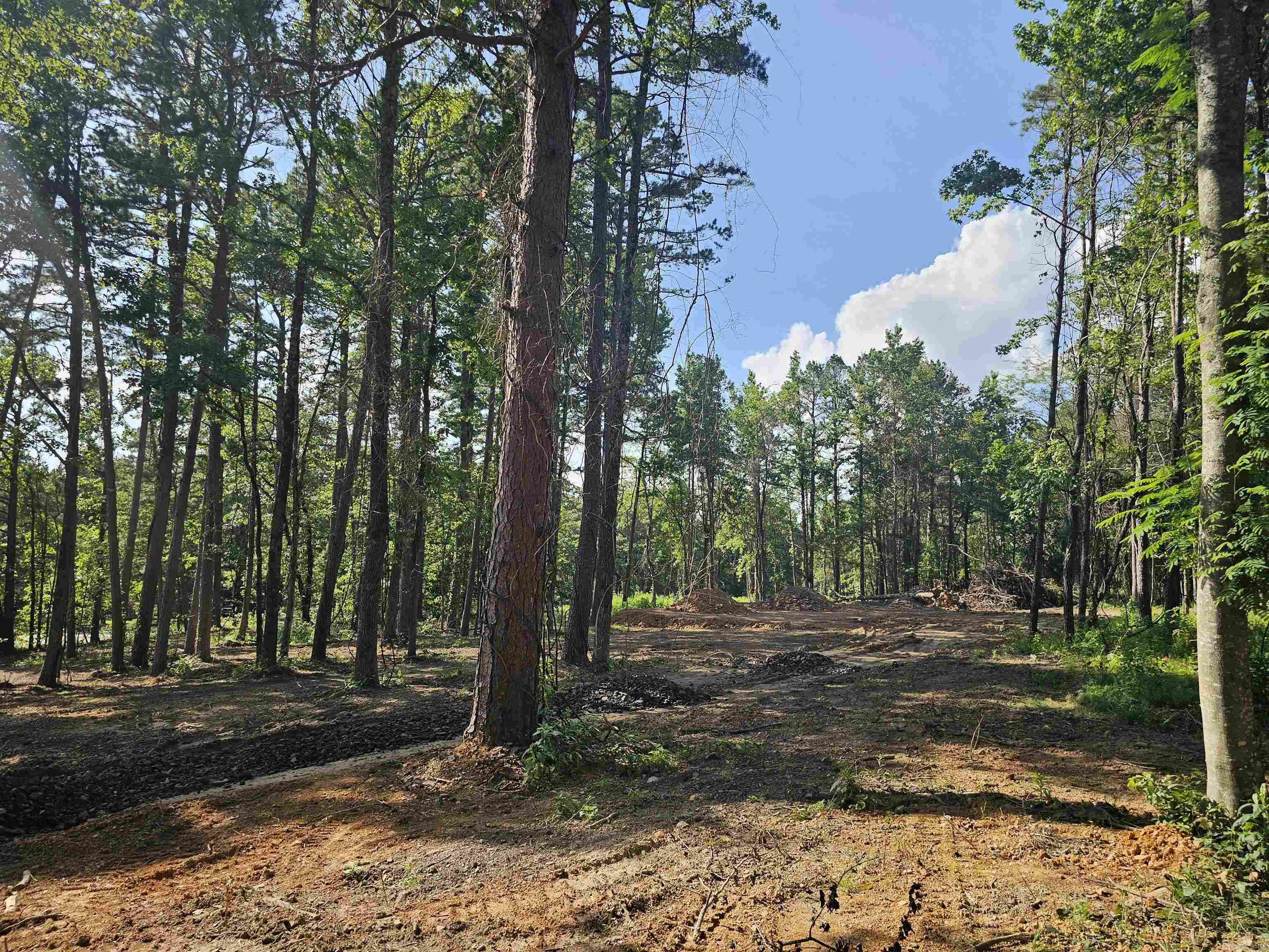 6 Chester Road Perryville, AR 72126