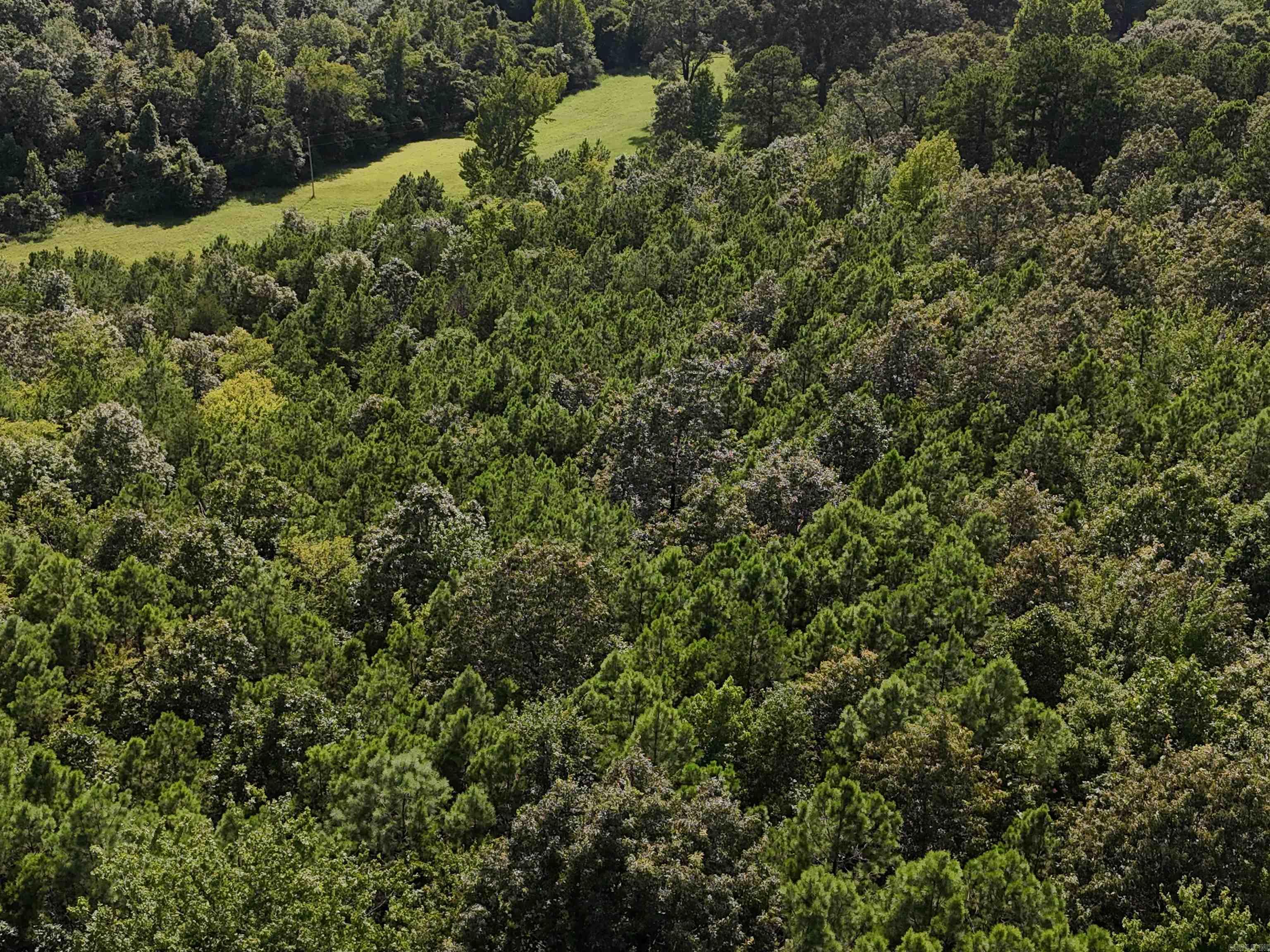 Lot 1 Polk Road 78  Mena, AR