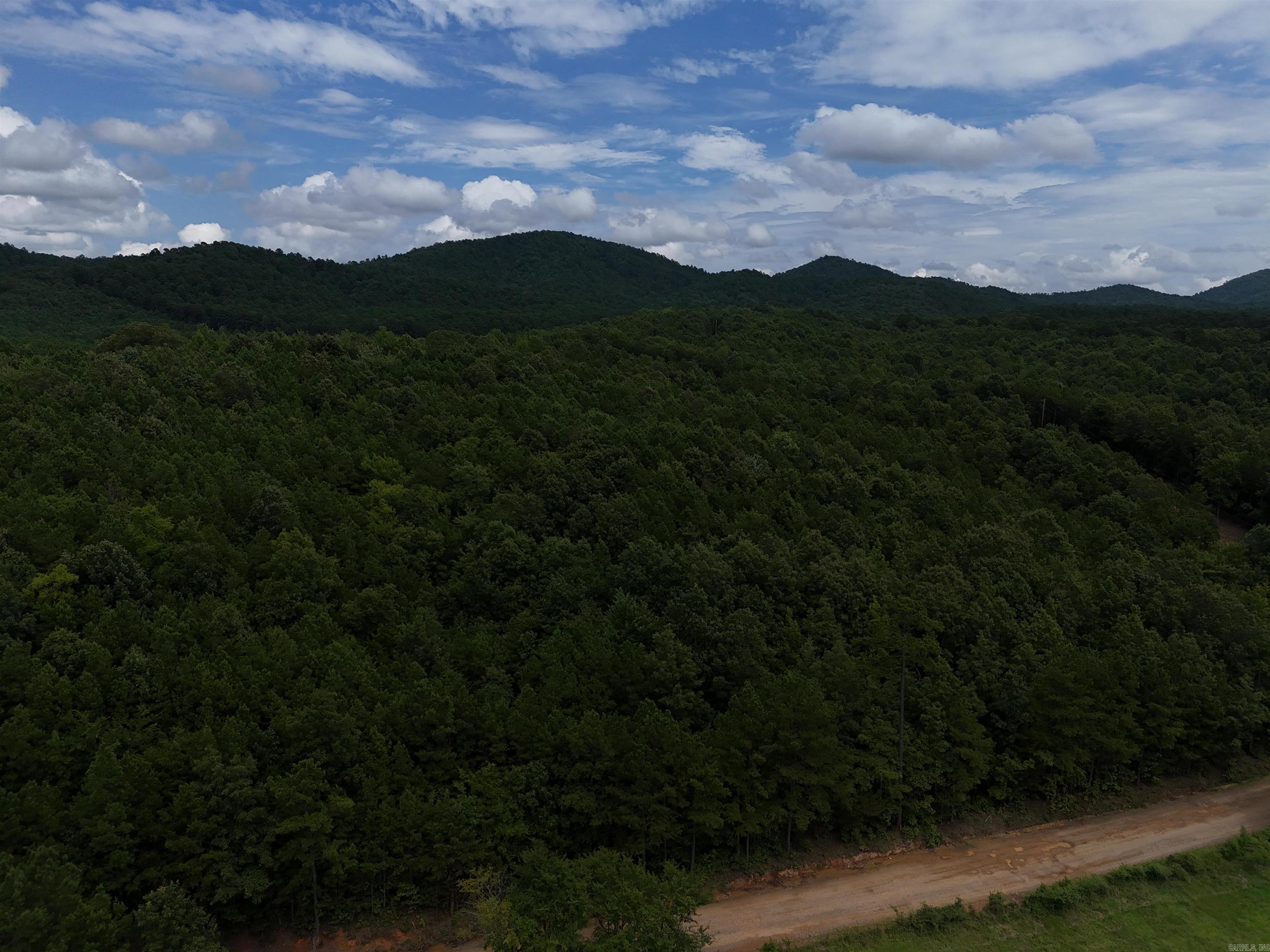 Lot 1 Polk Road 78  Mena, AR