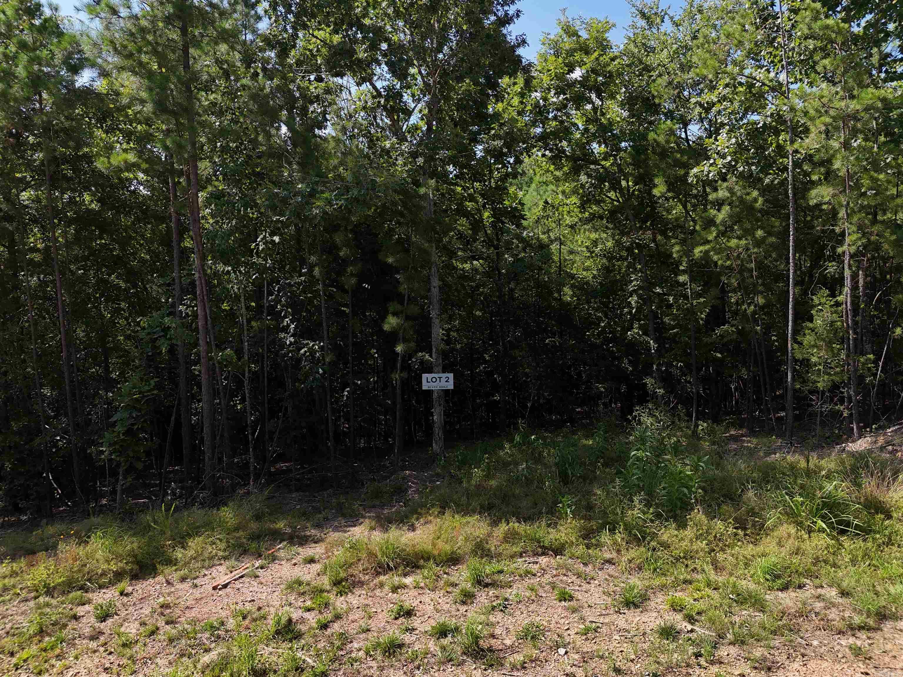 Lot 2 Polk Road 78  Mena, AR