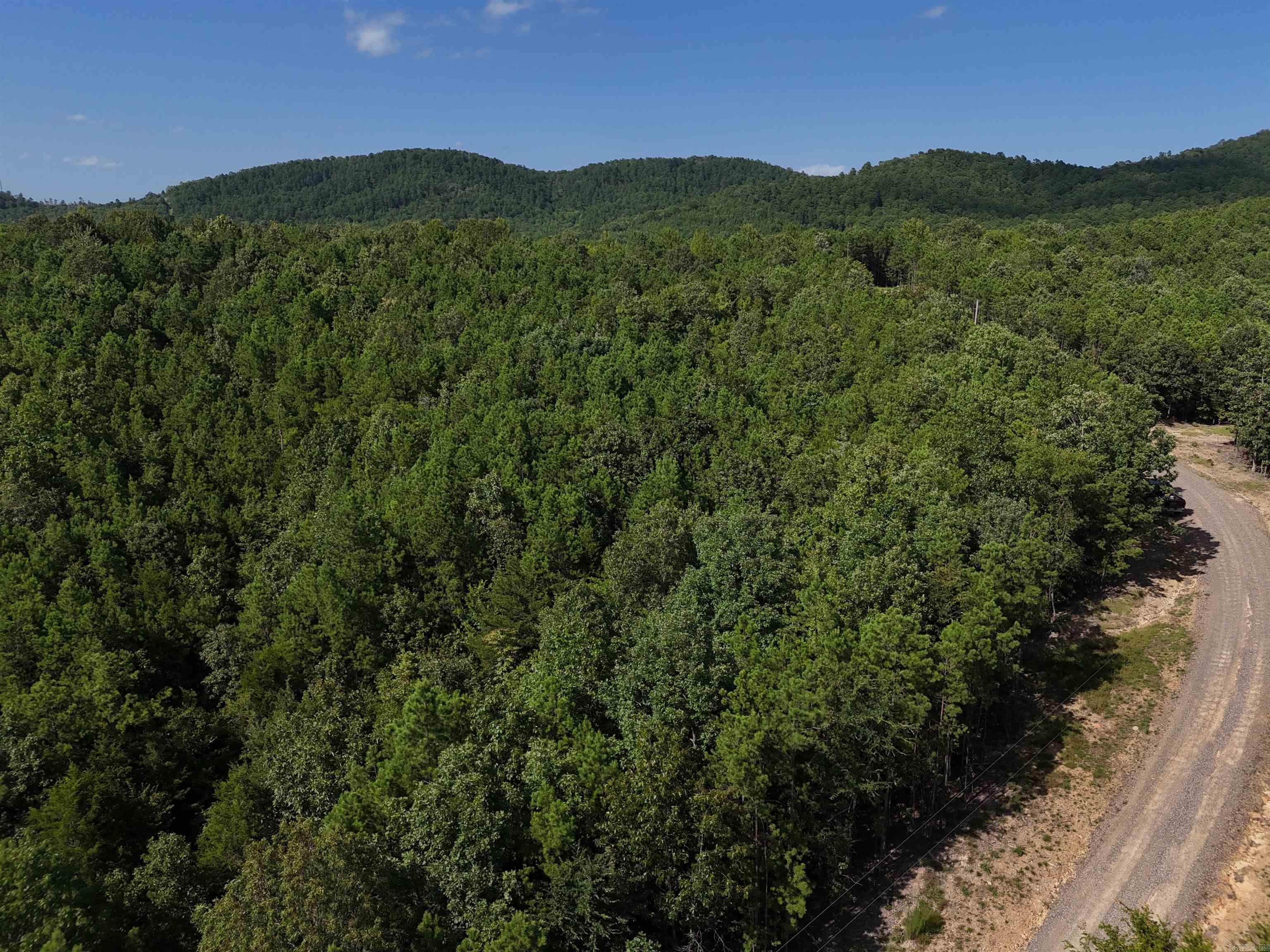 Lot 2 Polk Road 78  Mena, AR