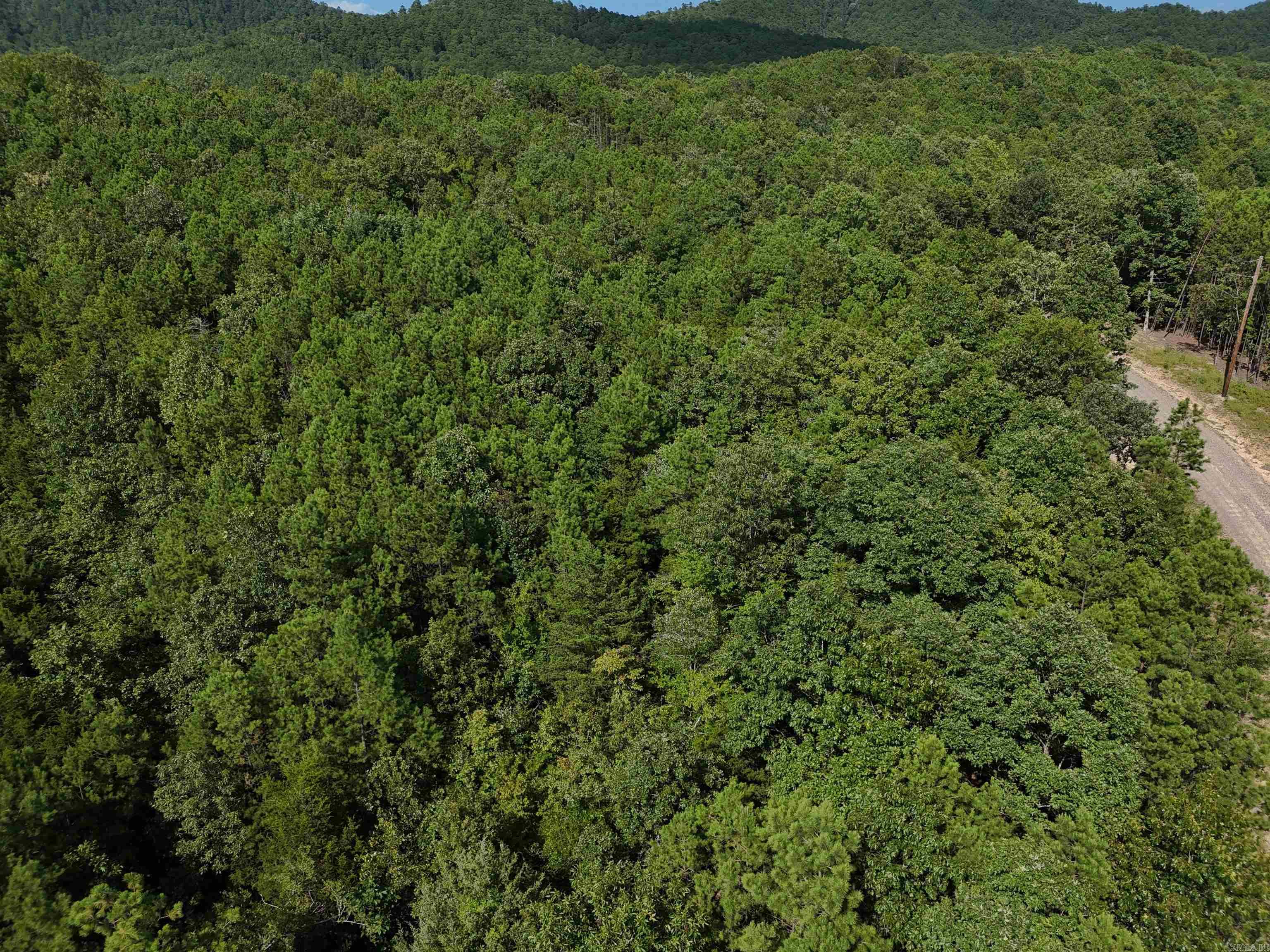 Lot 2 Polk Road 78  Mena, AR