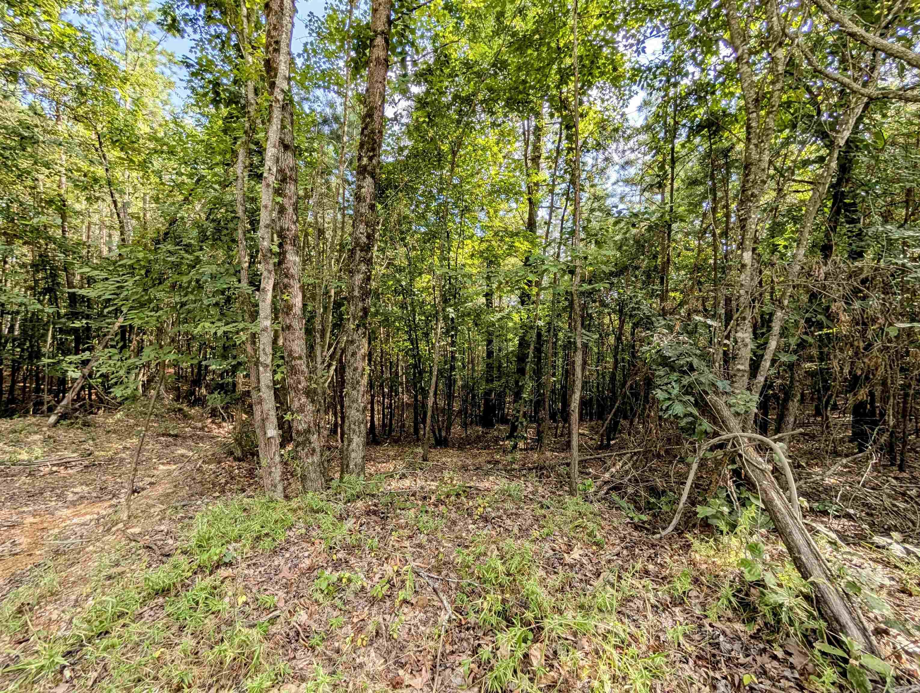 Lot 3 Polk Road 78  Mena, AR