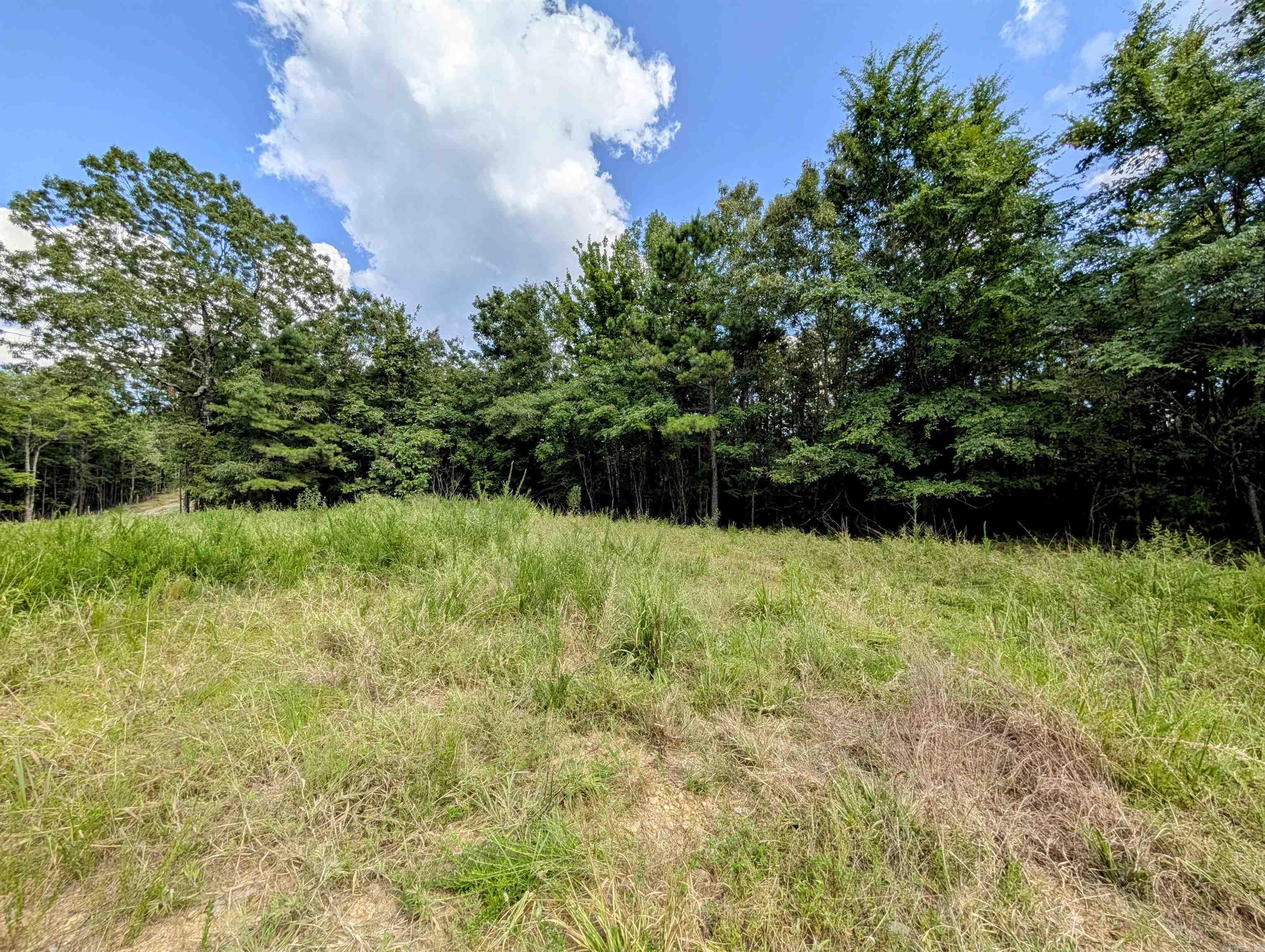 Lot 3 Polk Road 78  Mena, AR