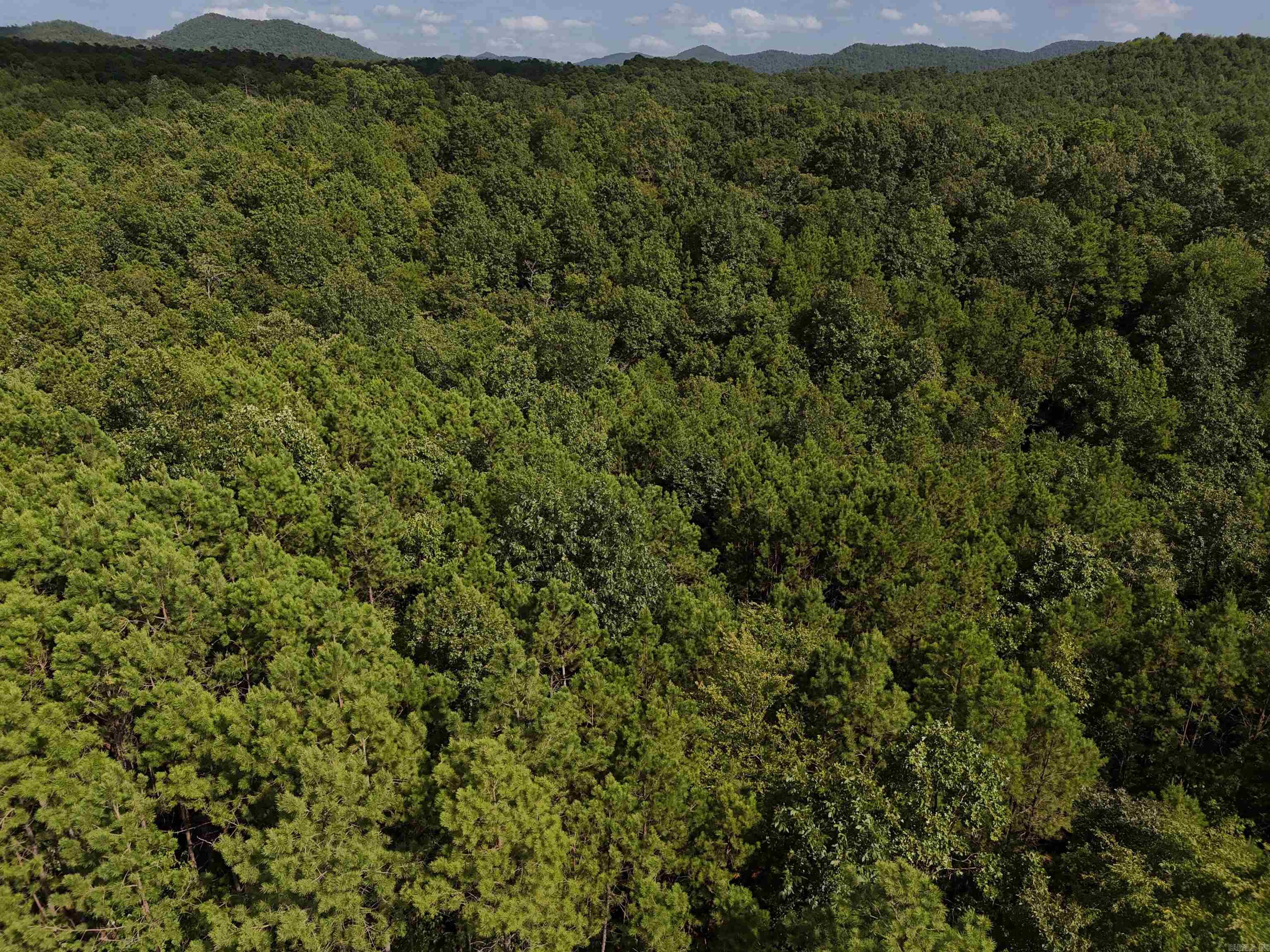 Lot 4 Polk Road 78  Mena, AR