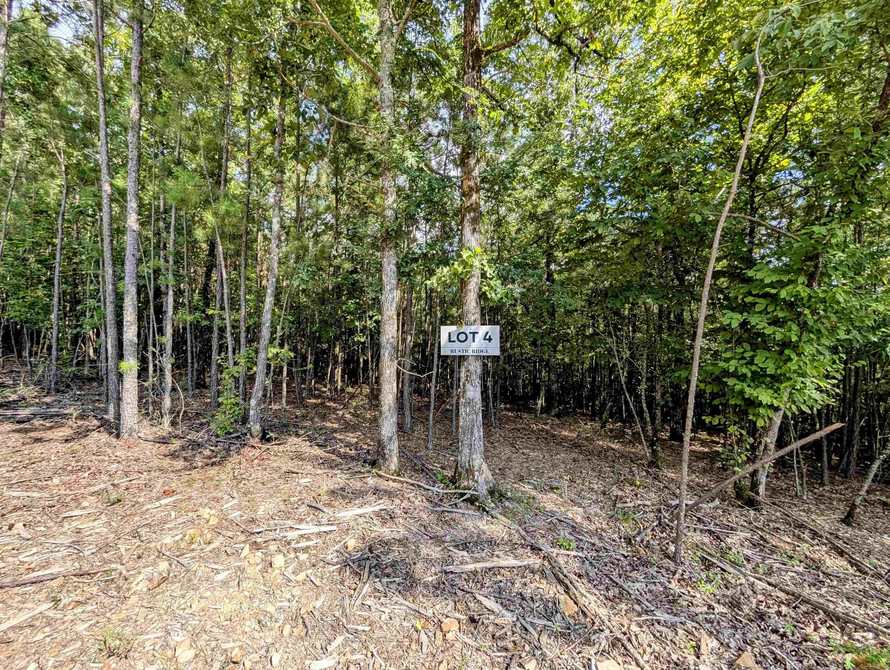 Lot 4 Polk Road 78  Mena, AR