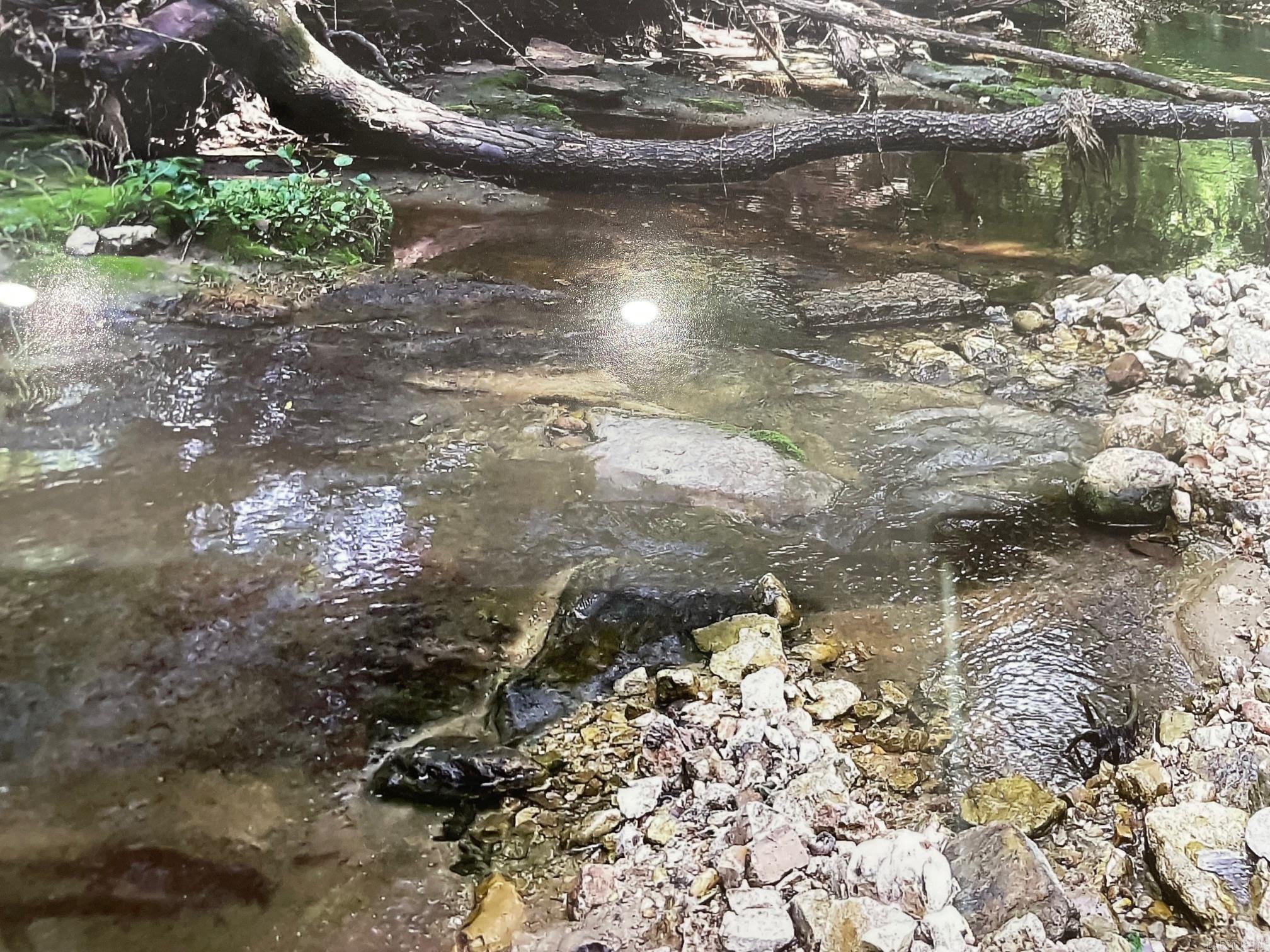 1100 MC 4013  Harrison, AR