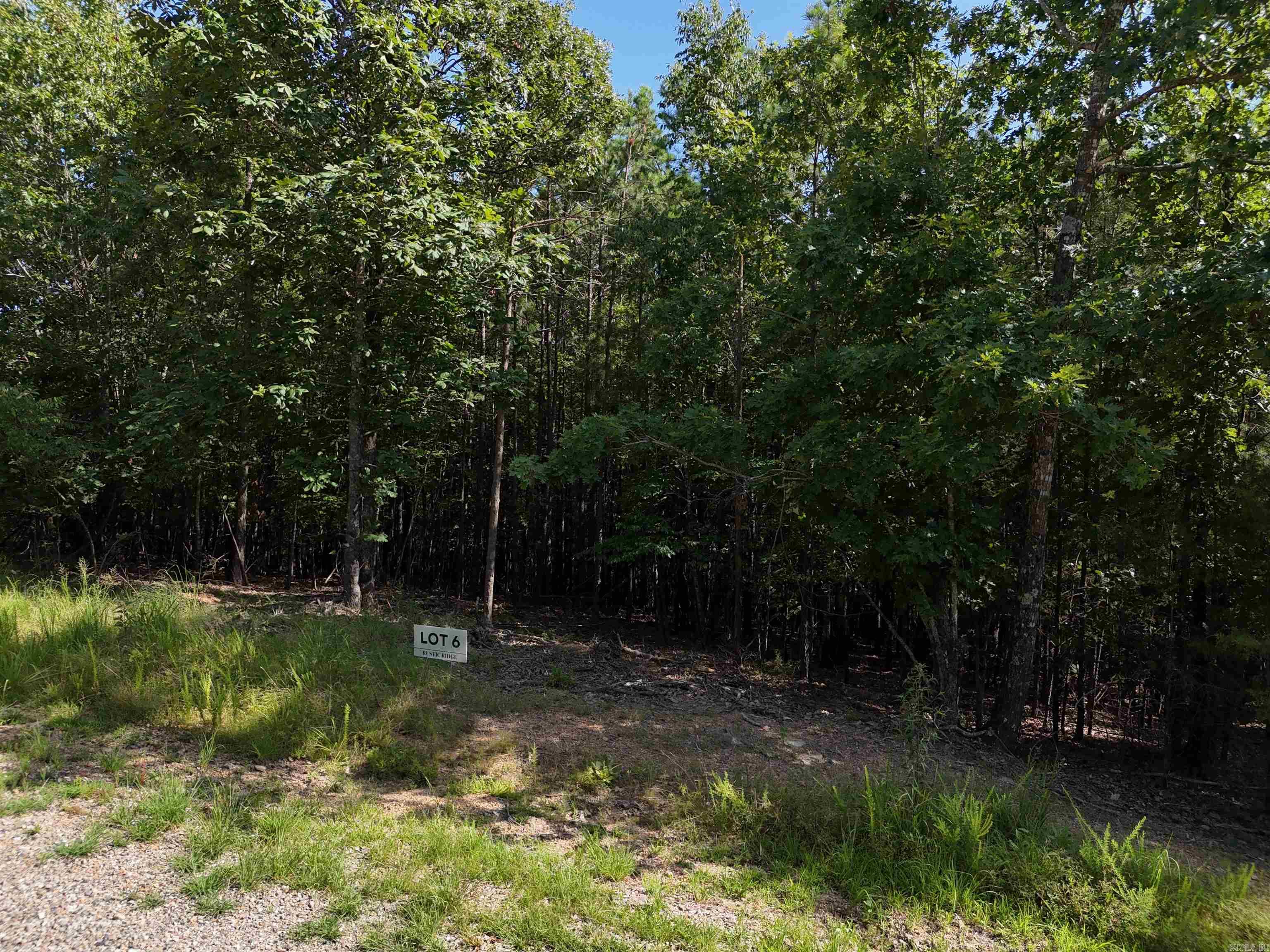 Lot 6 Polk Road 78  Mena, AR