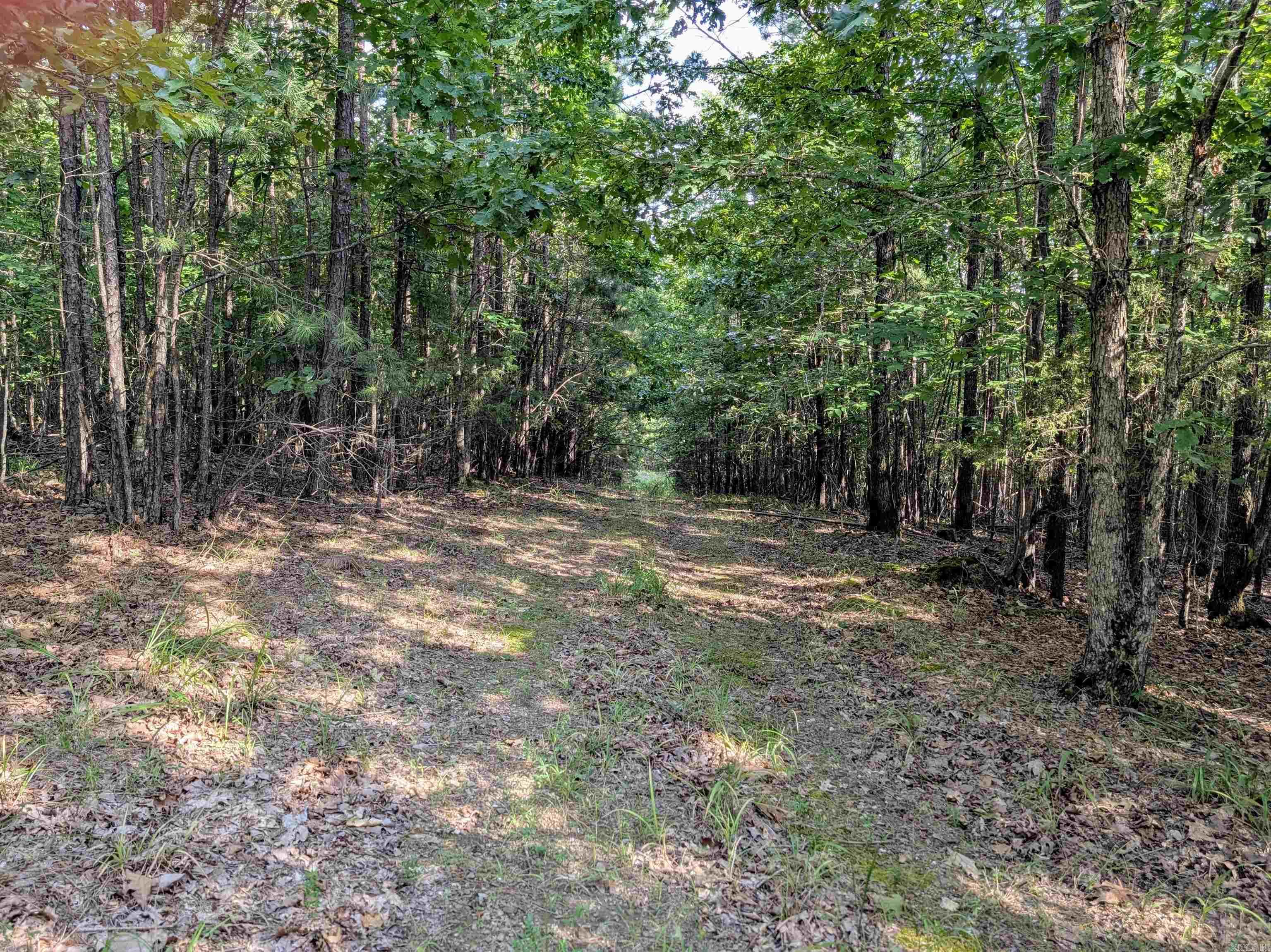 Lot 6 Polk Road 78  Mena, AR