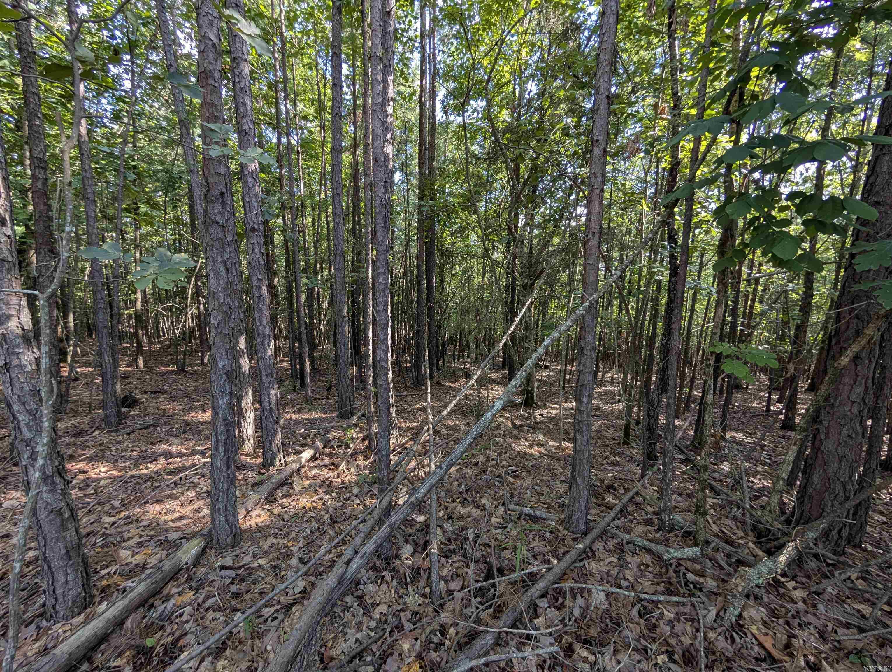 Lot 6 Polk Road 78  Mena, AR