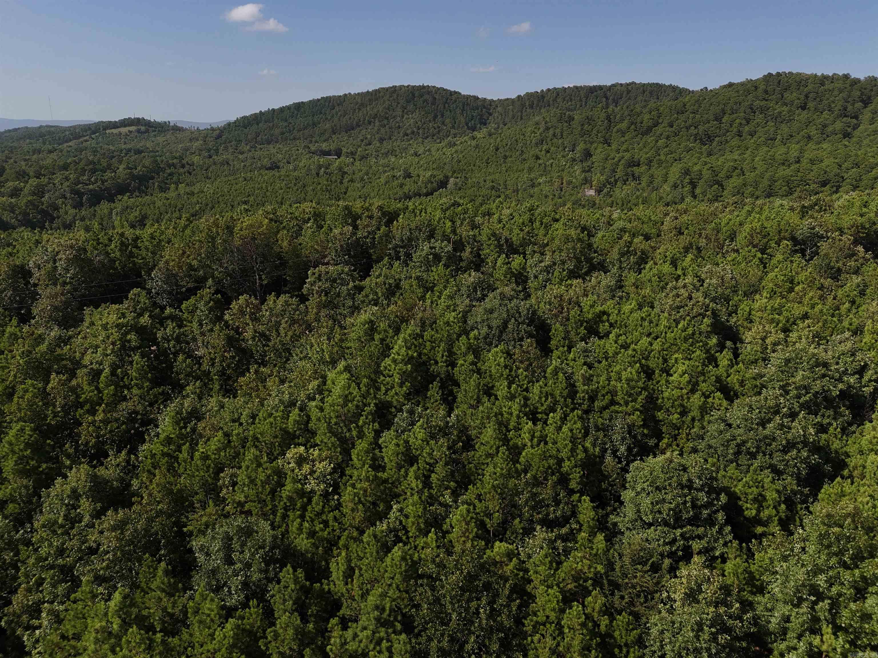 Lot 7 Polk Road 78  Mena, AR