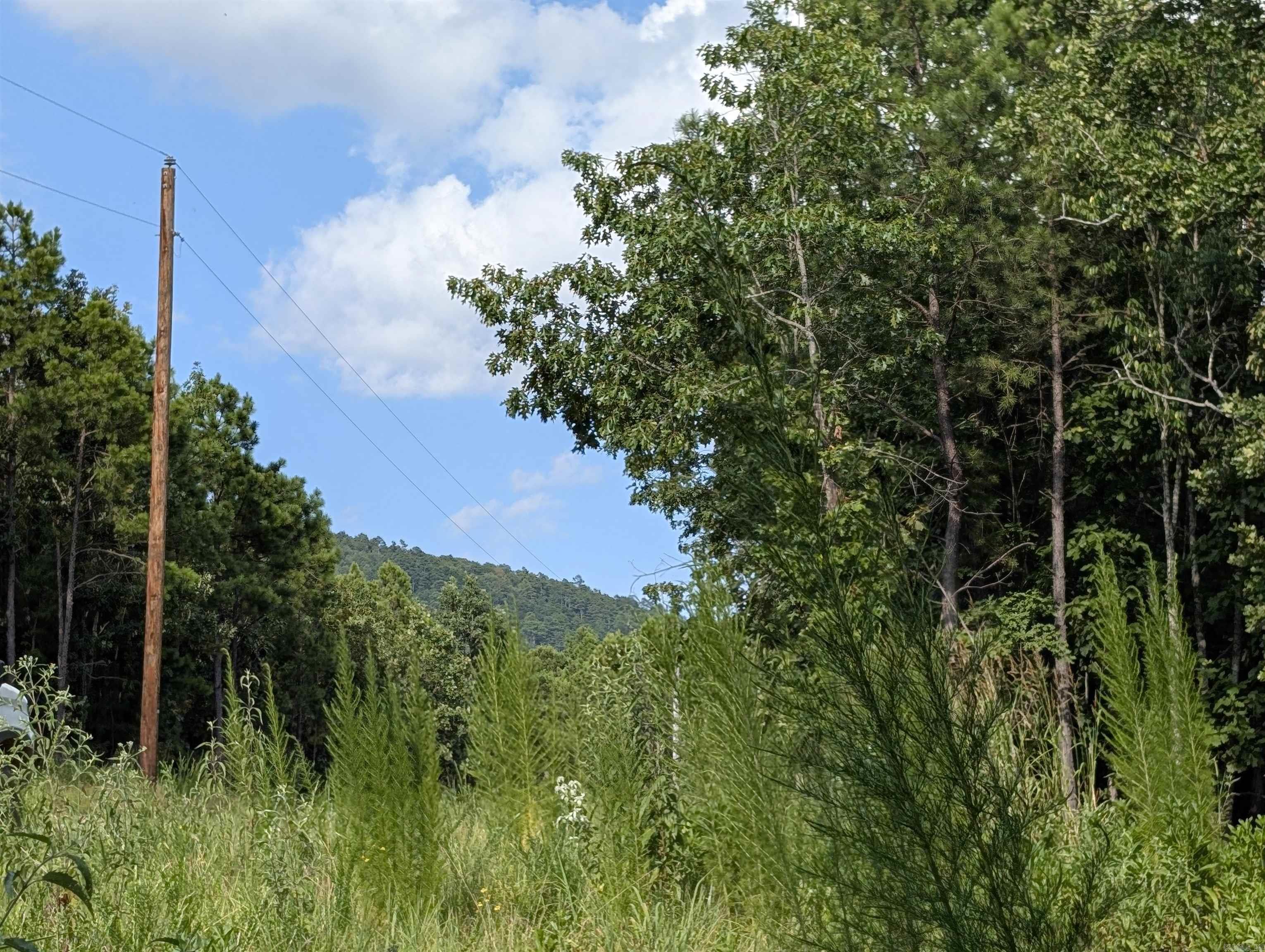 Lot 7 Polk Road 78  Mena, AR