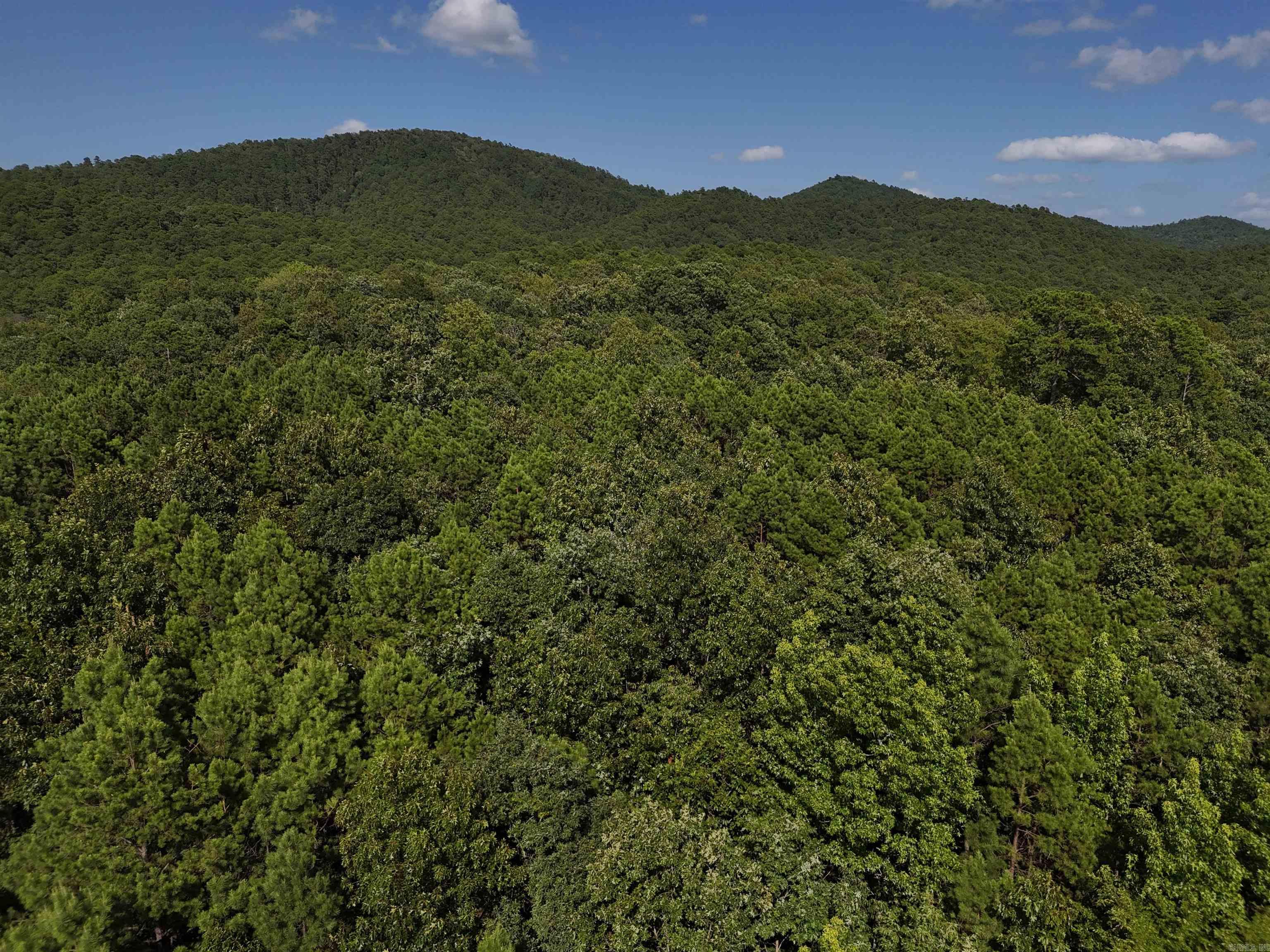 Lot 8 Polk Road 78  Mena, AR