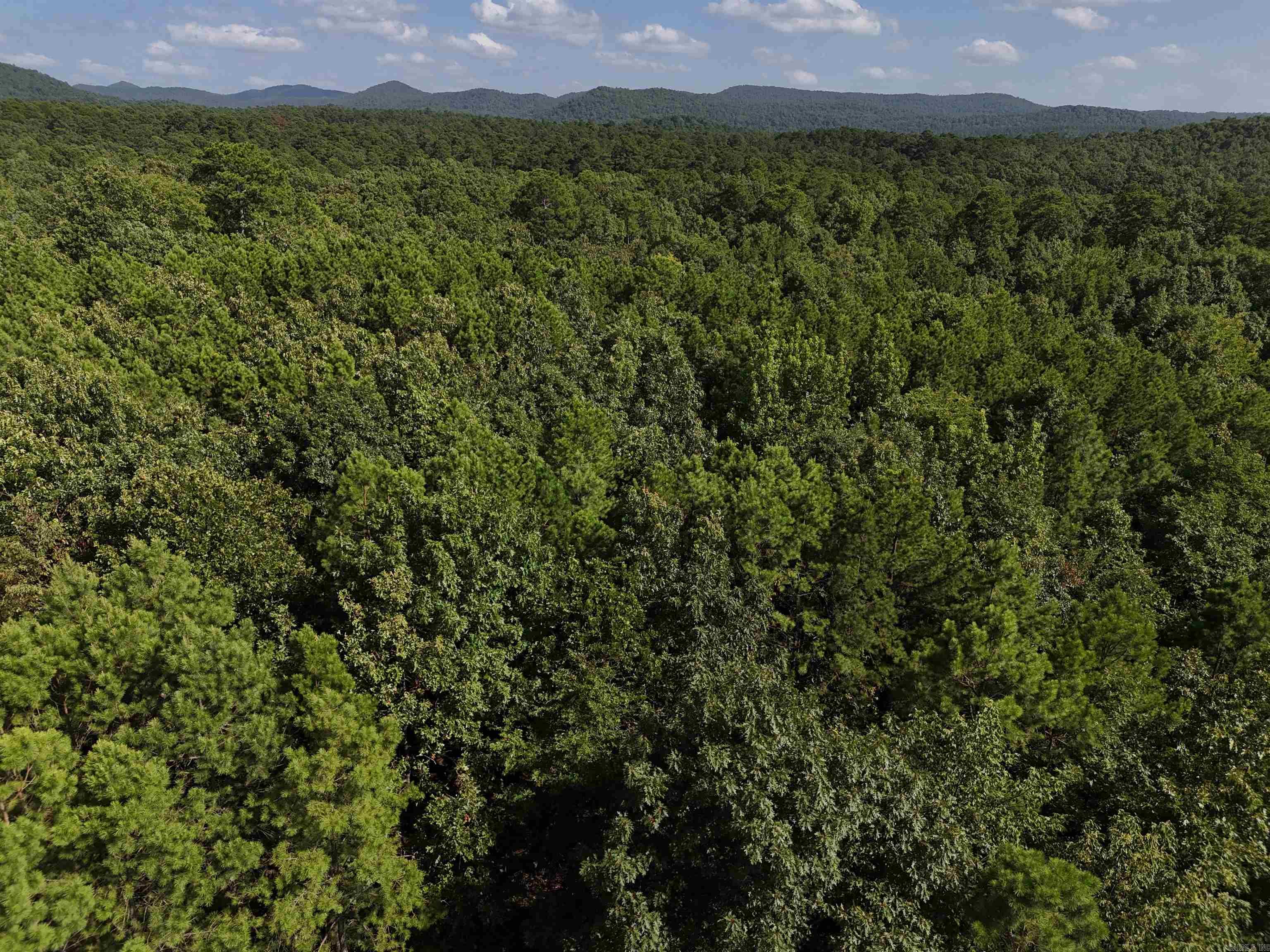 Lot 8 Polk Road 78  Mena, AR