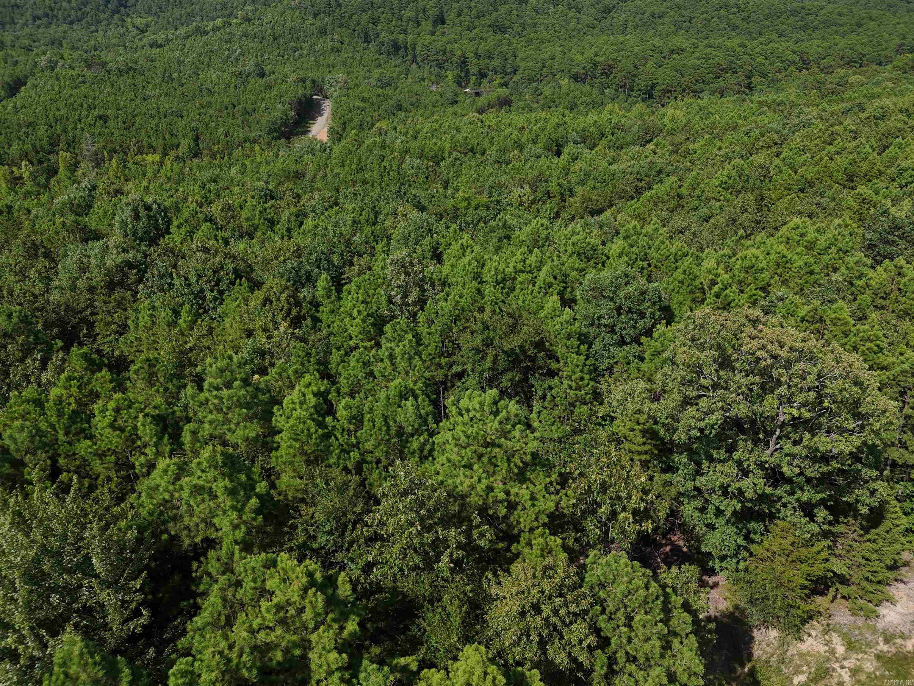 Lot 10 Polk Road 78  Mena, AR